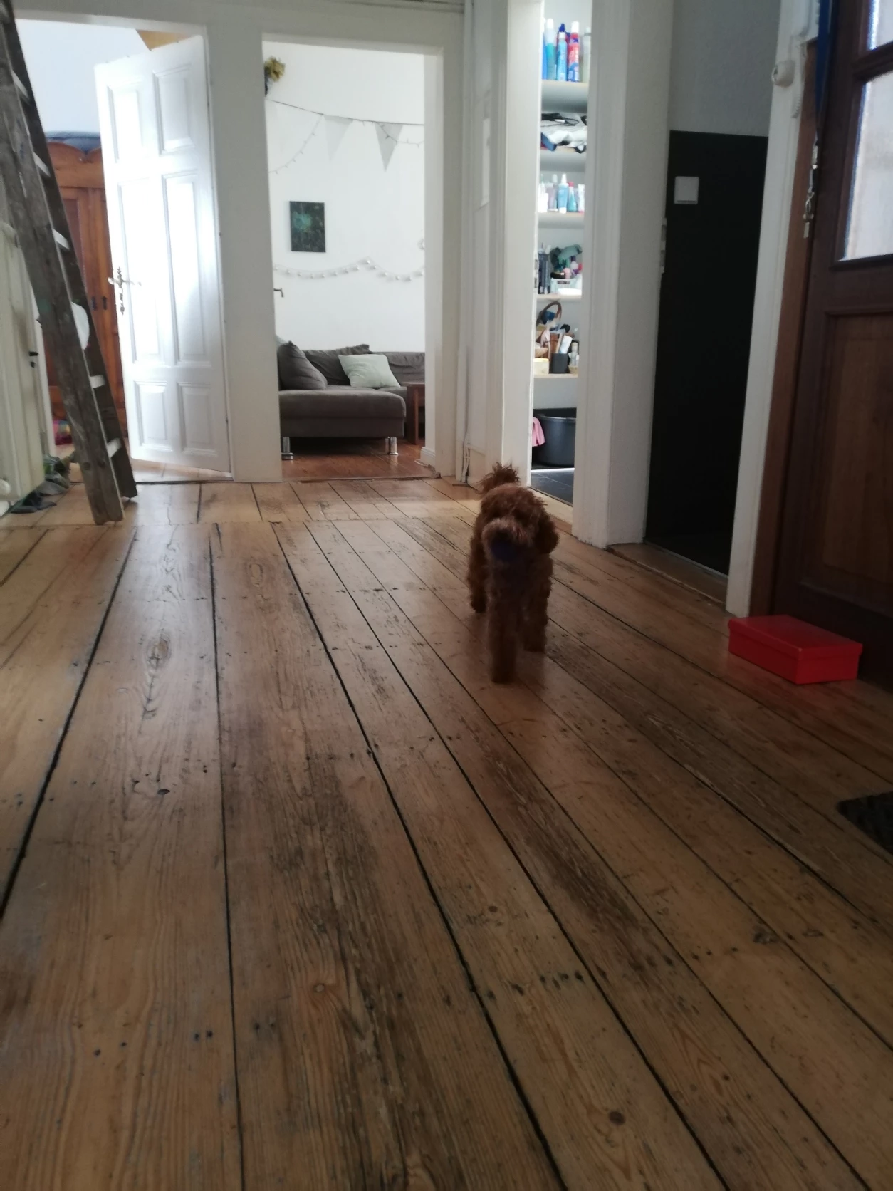 image-7