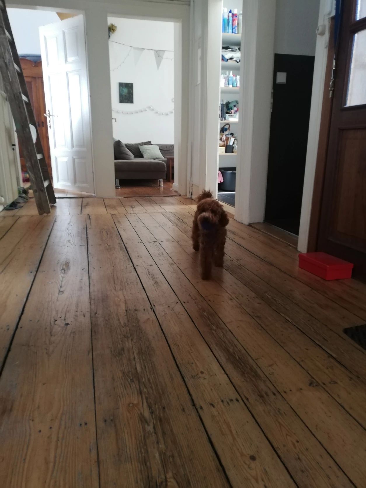 image-7