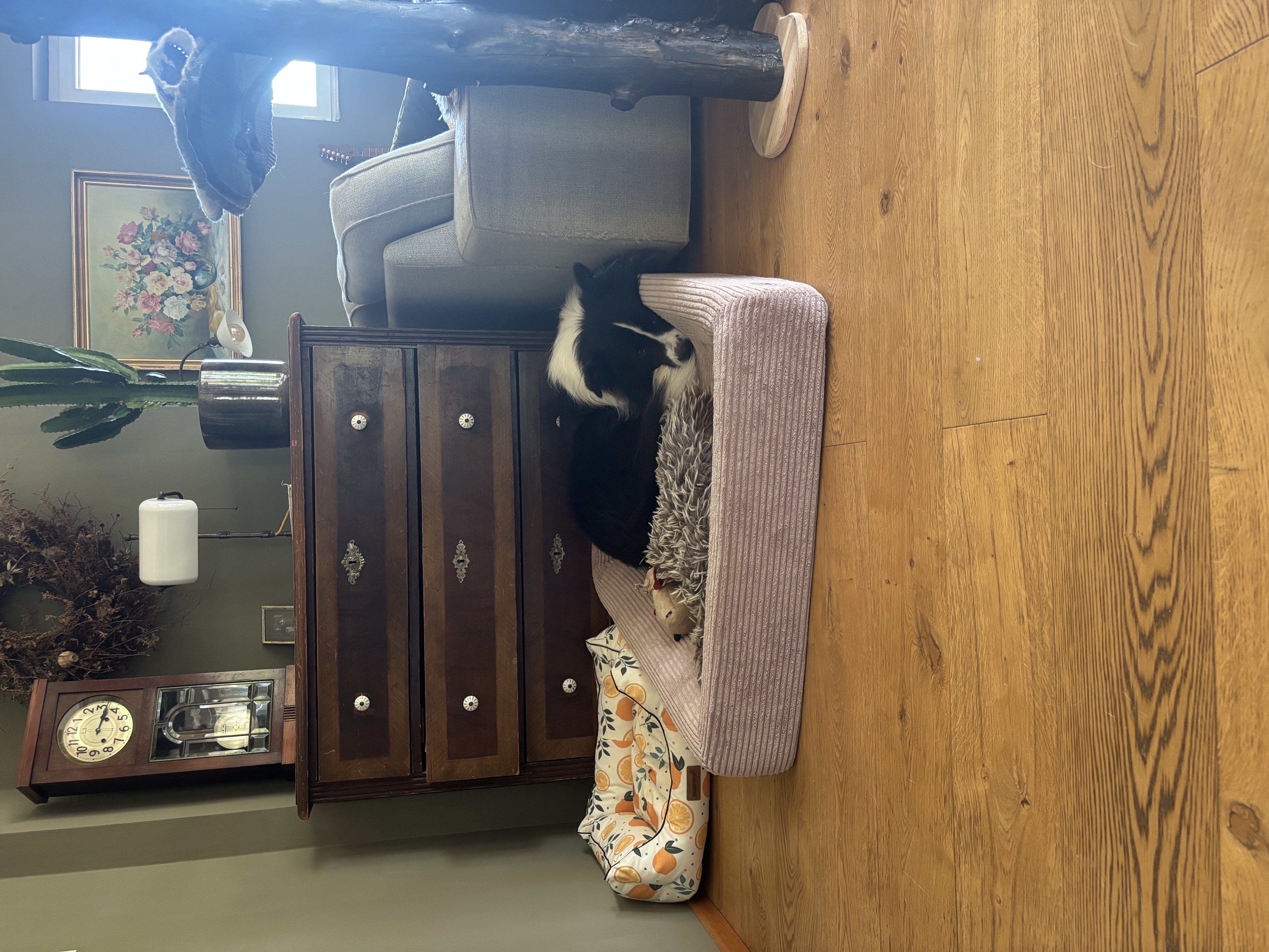 image-10