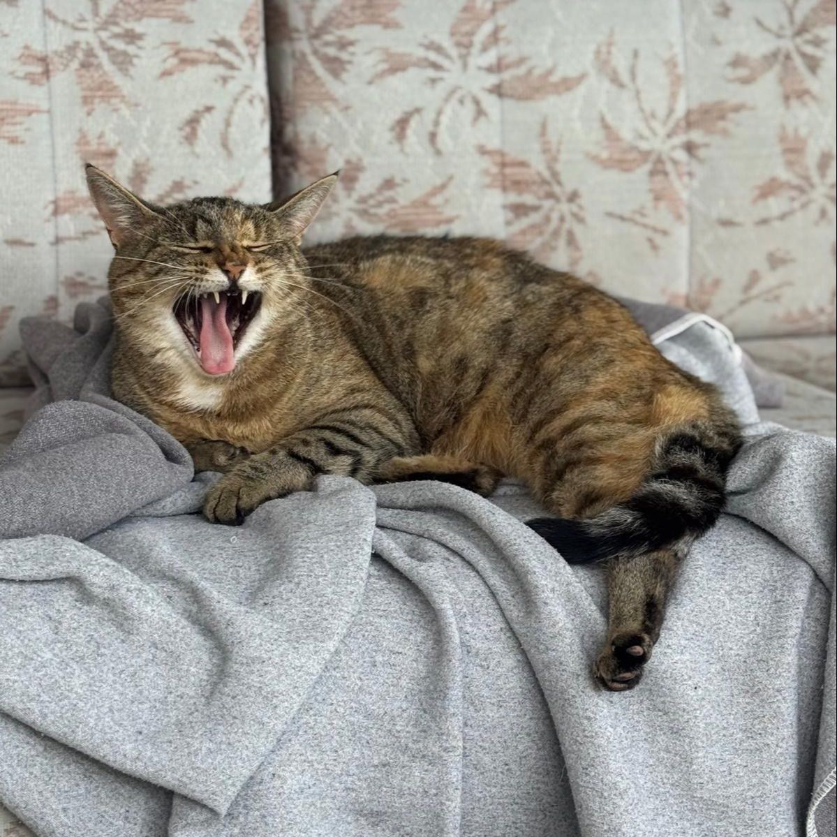 Zita