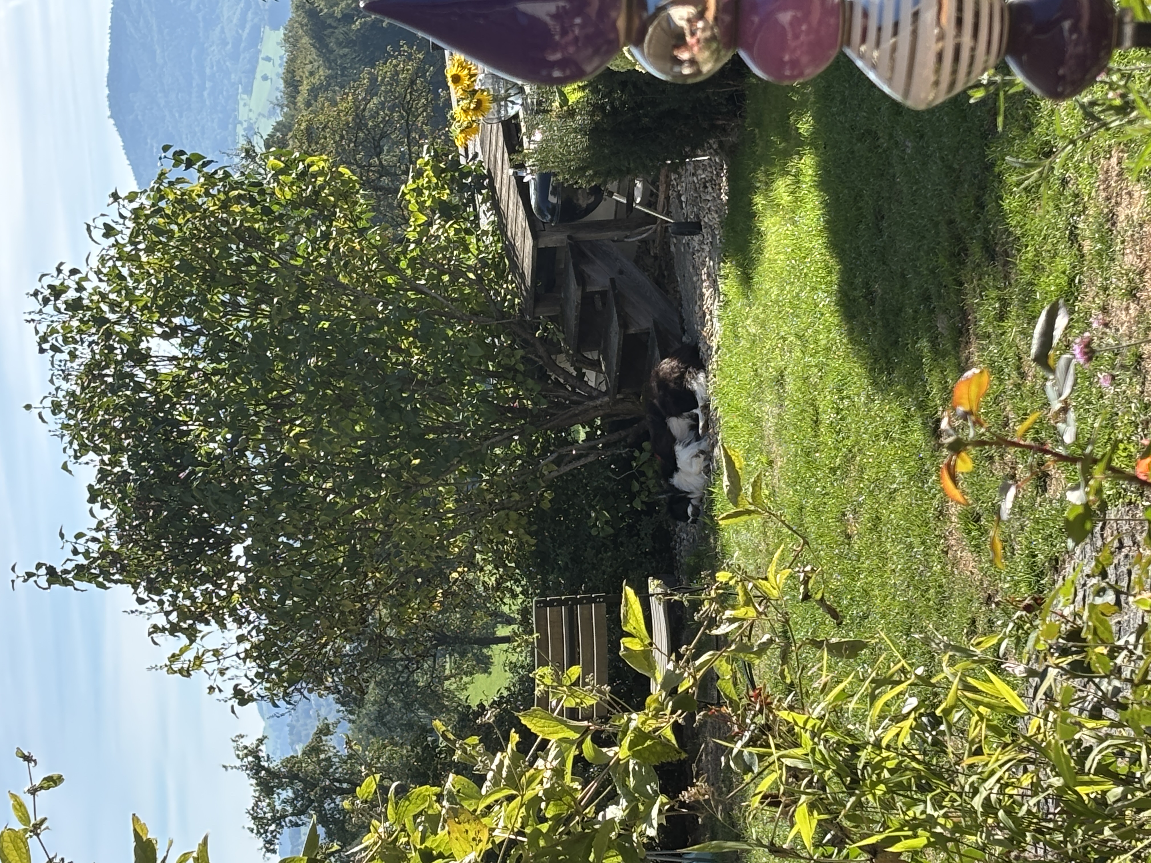 image-14