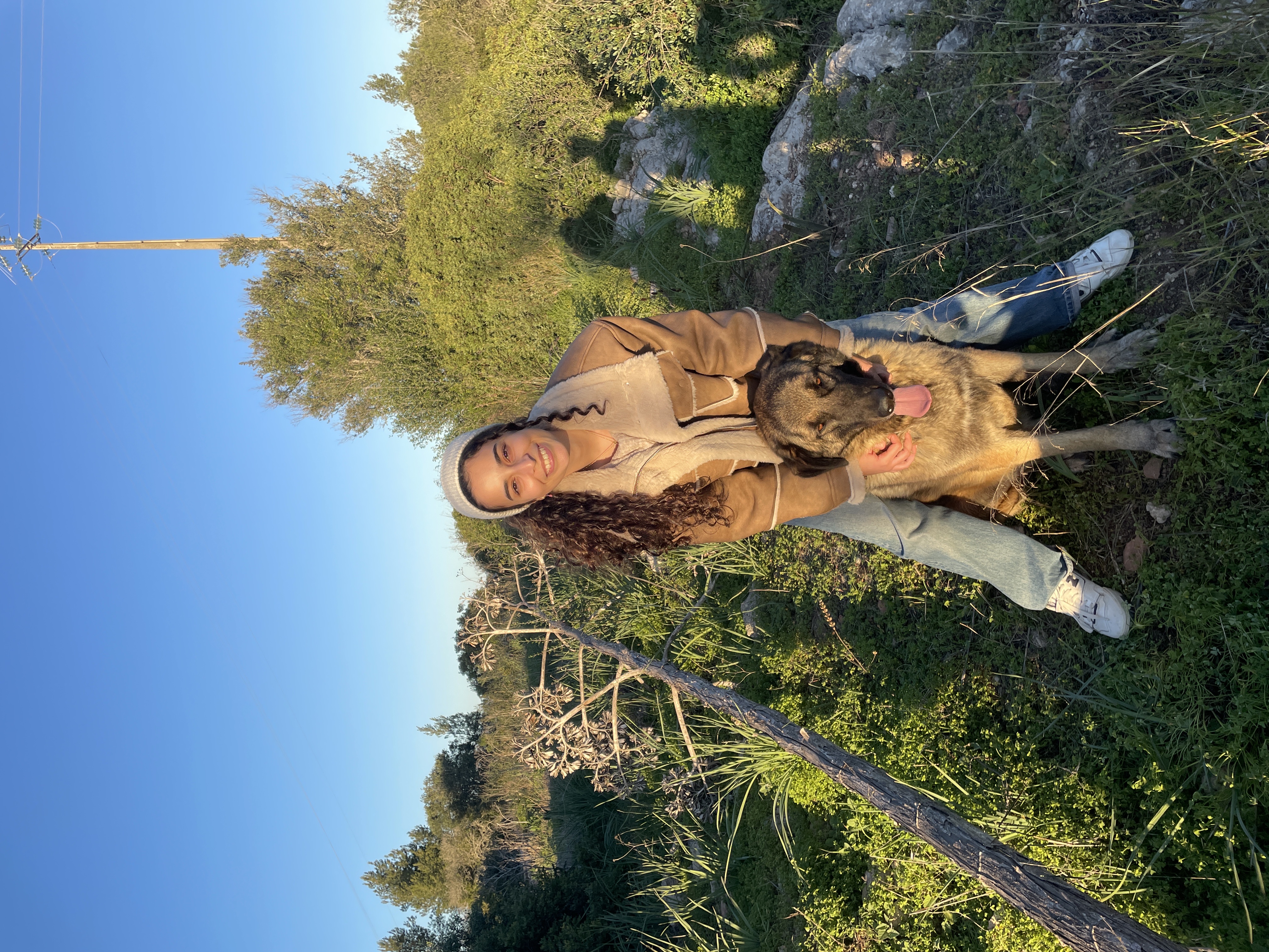 image-7