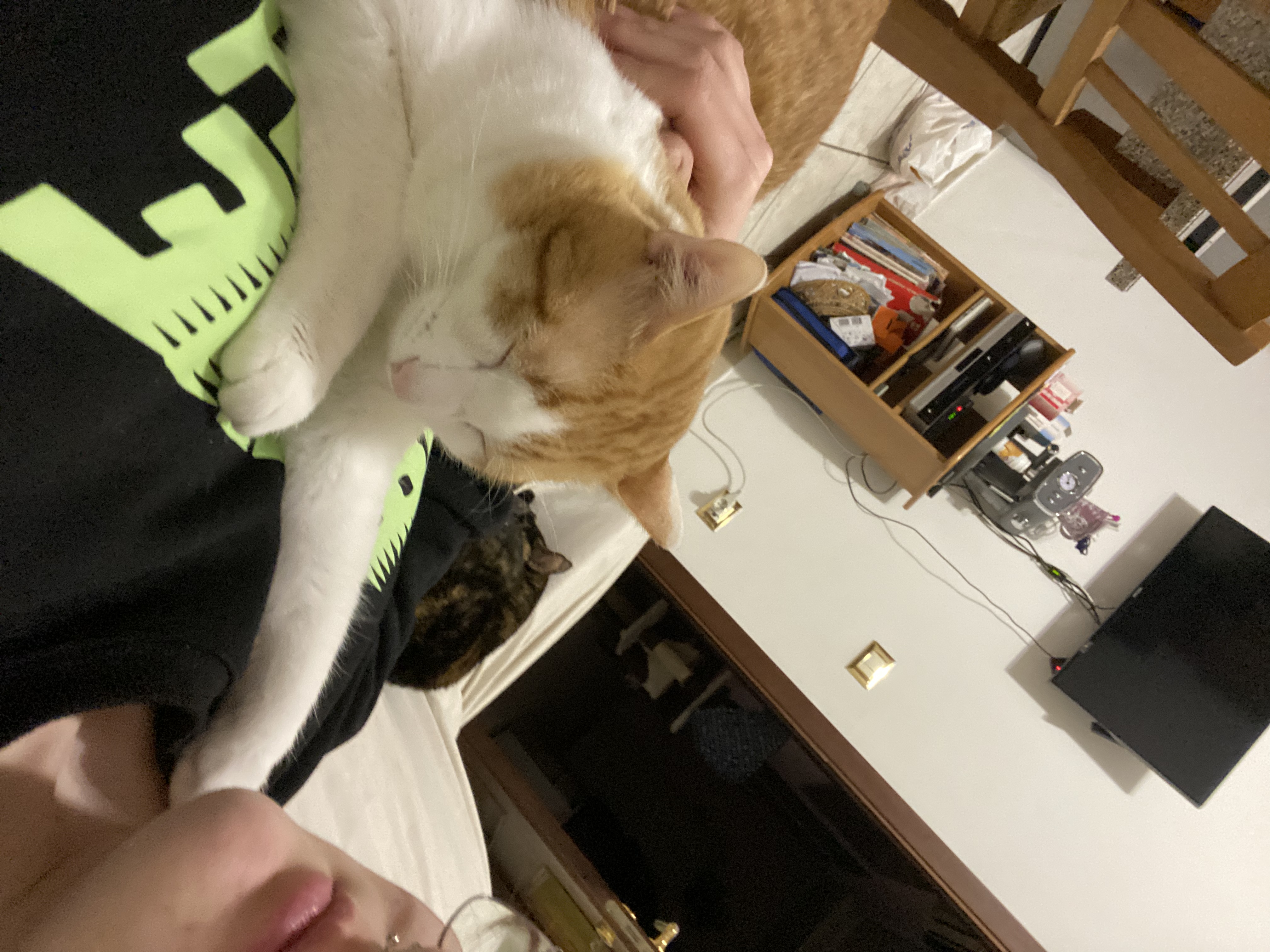 image-8
