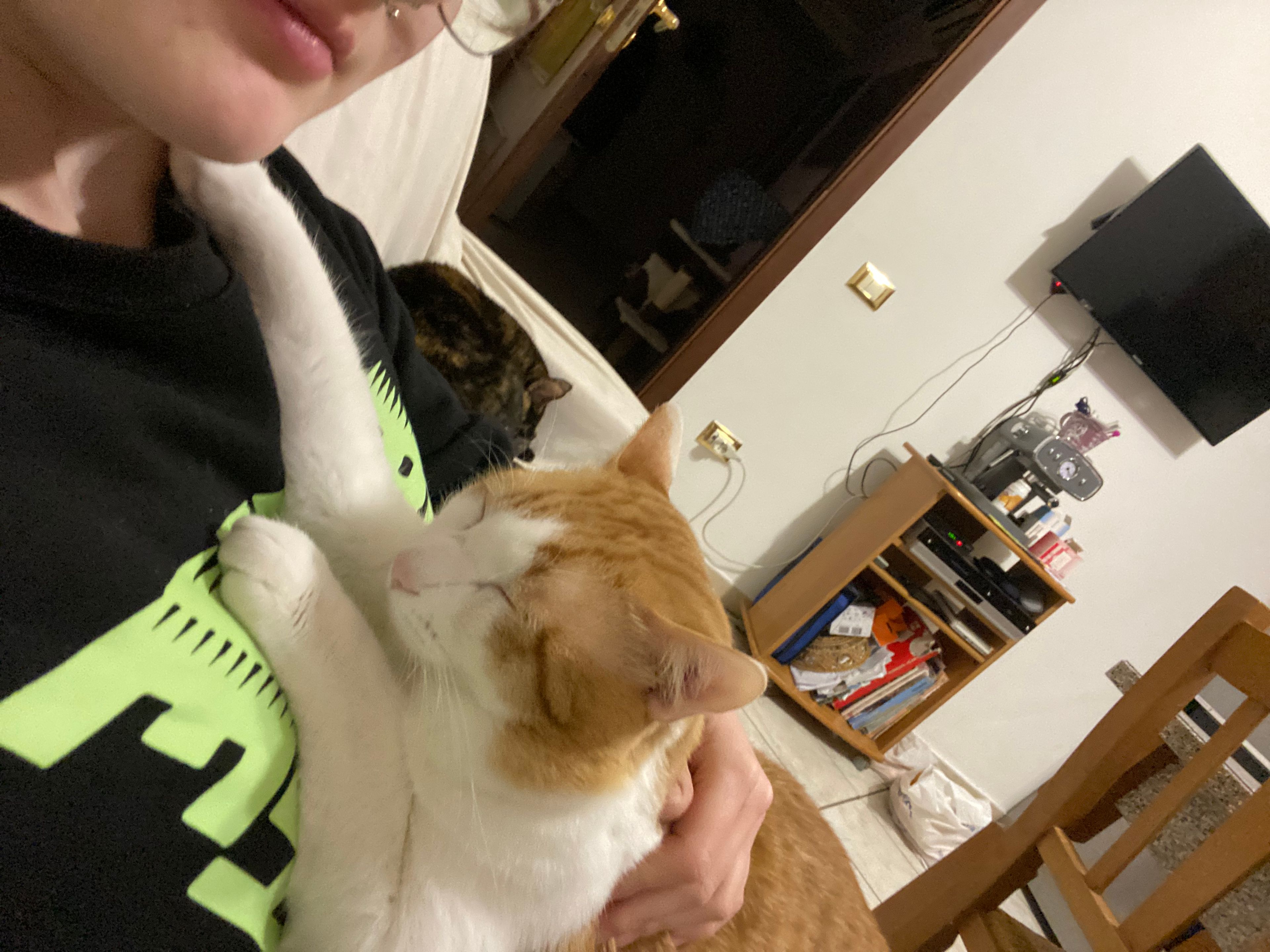 image-8