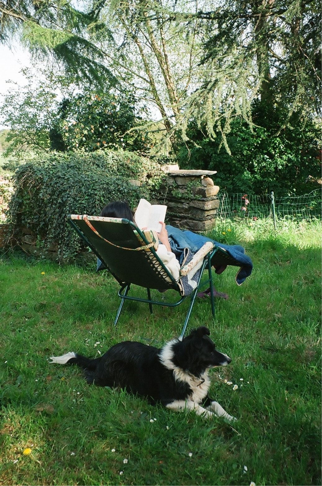 image-0