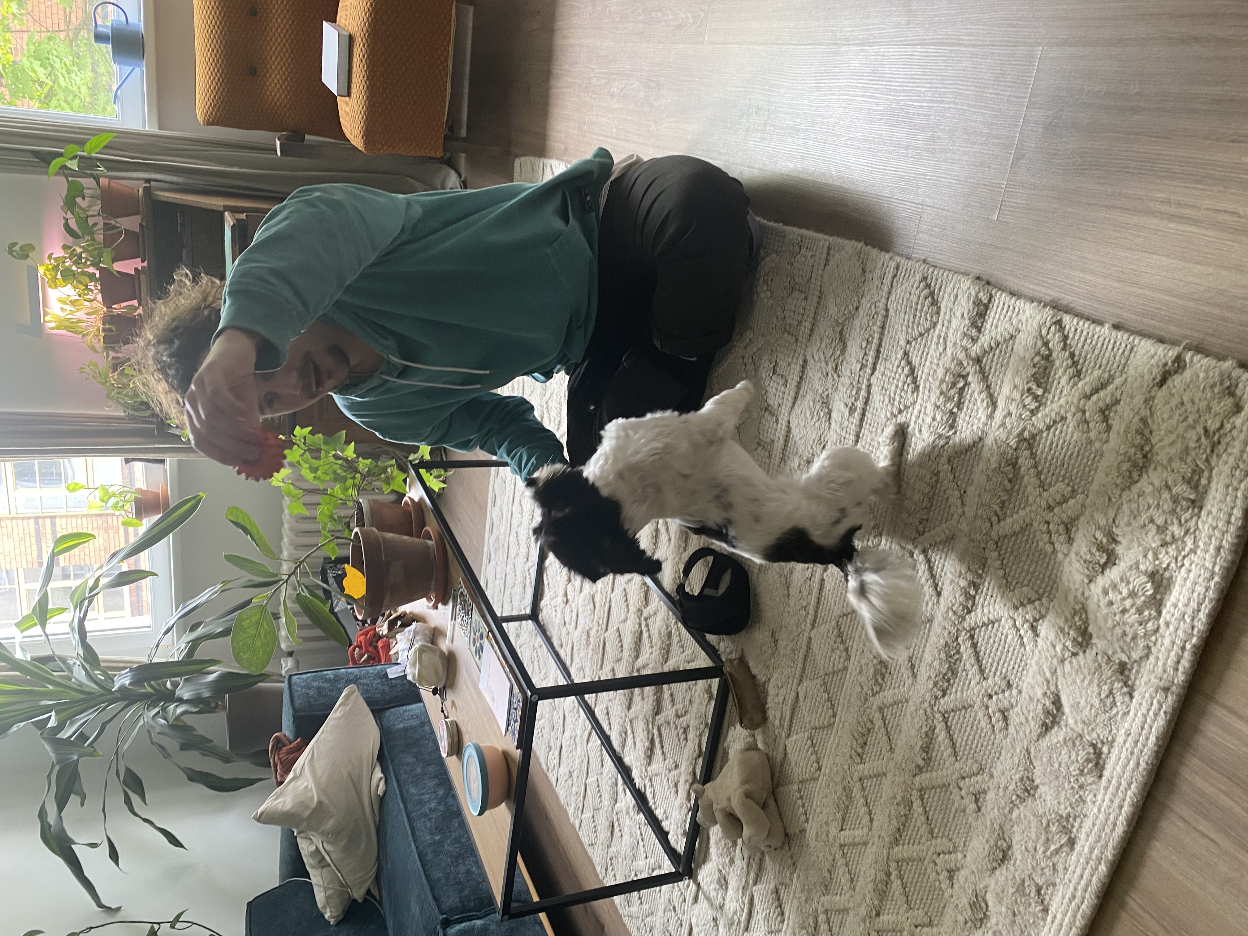 image-15