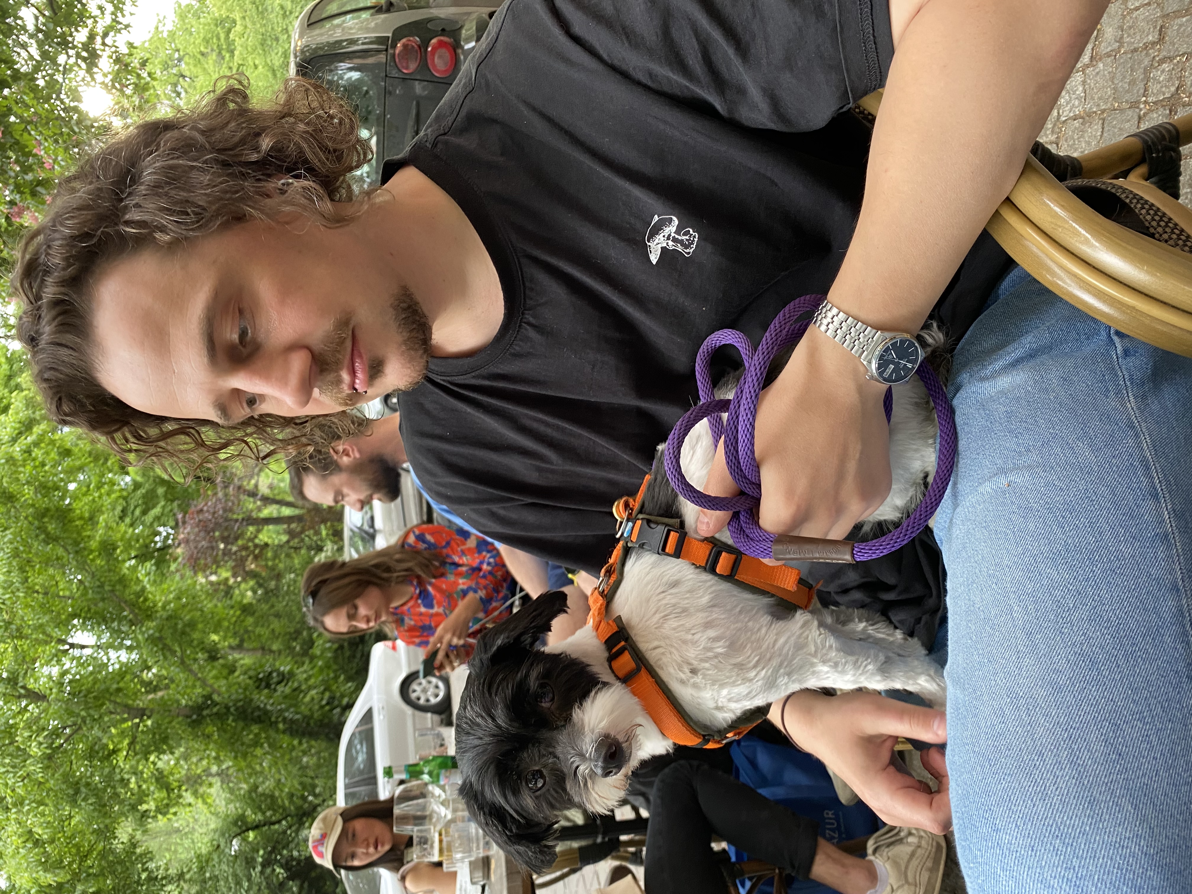 image-8
