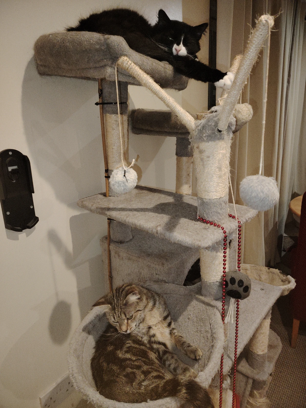 image-6