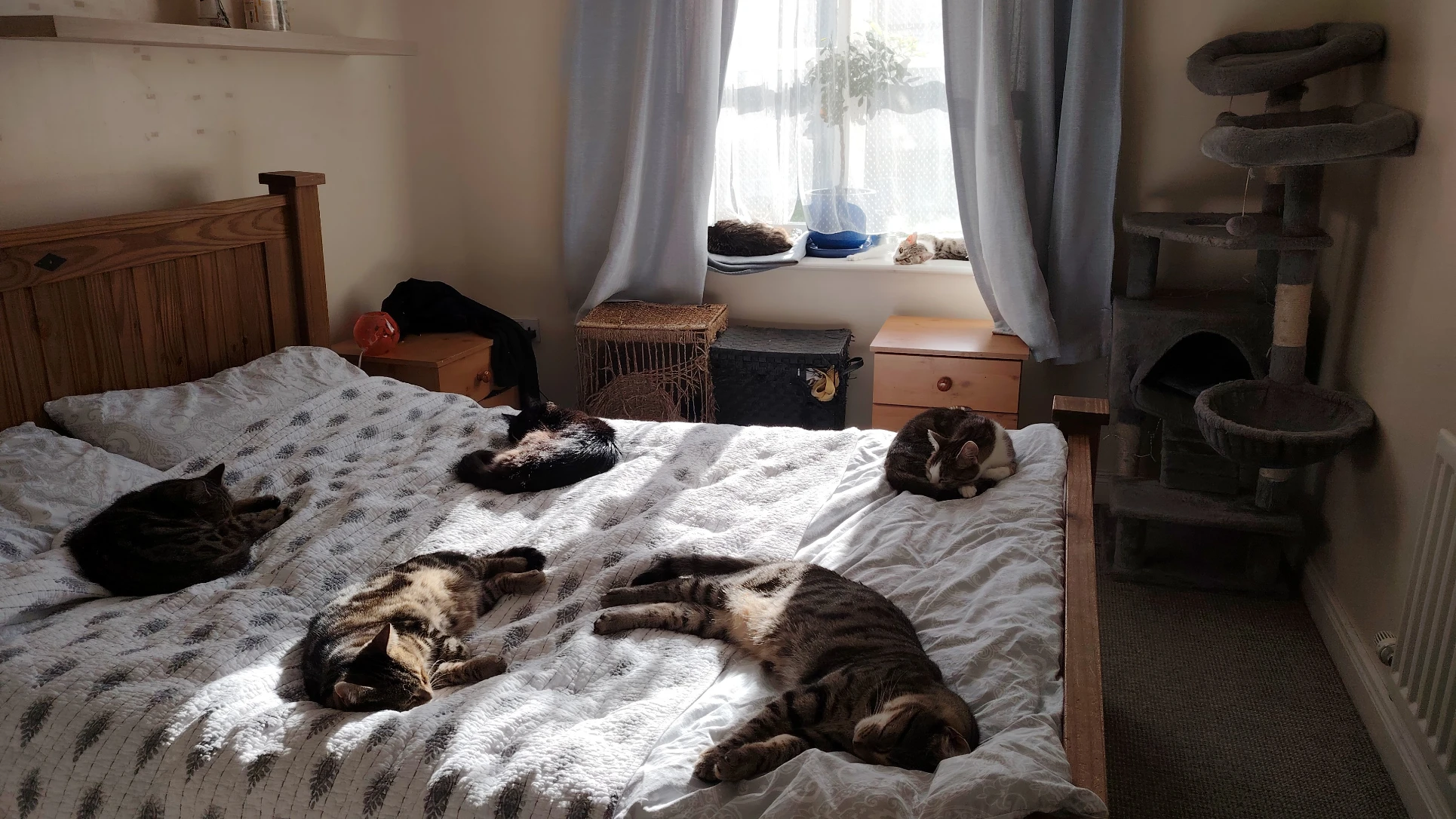 image-4
