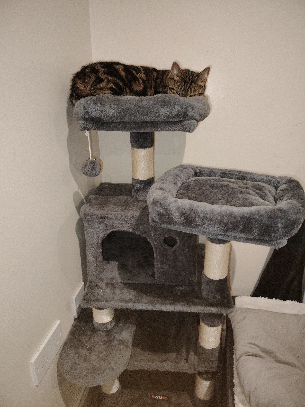 image-5