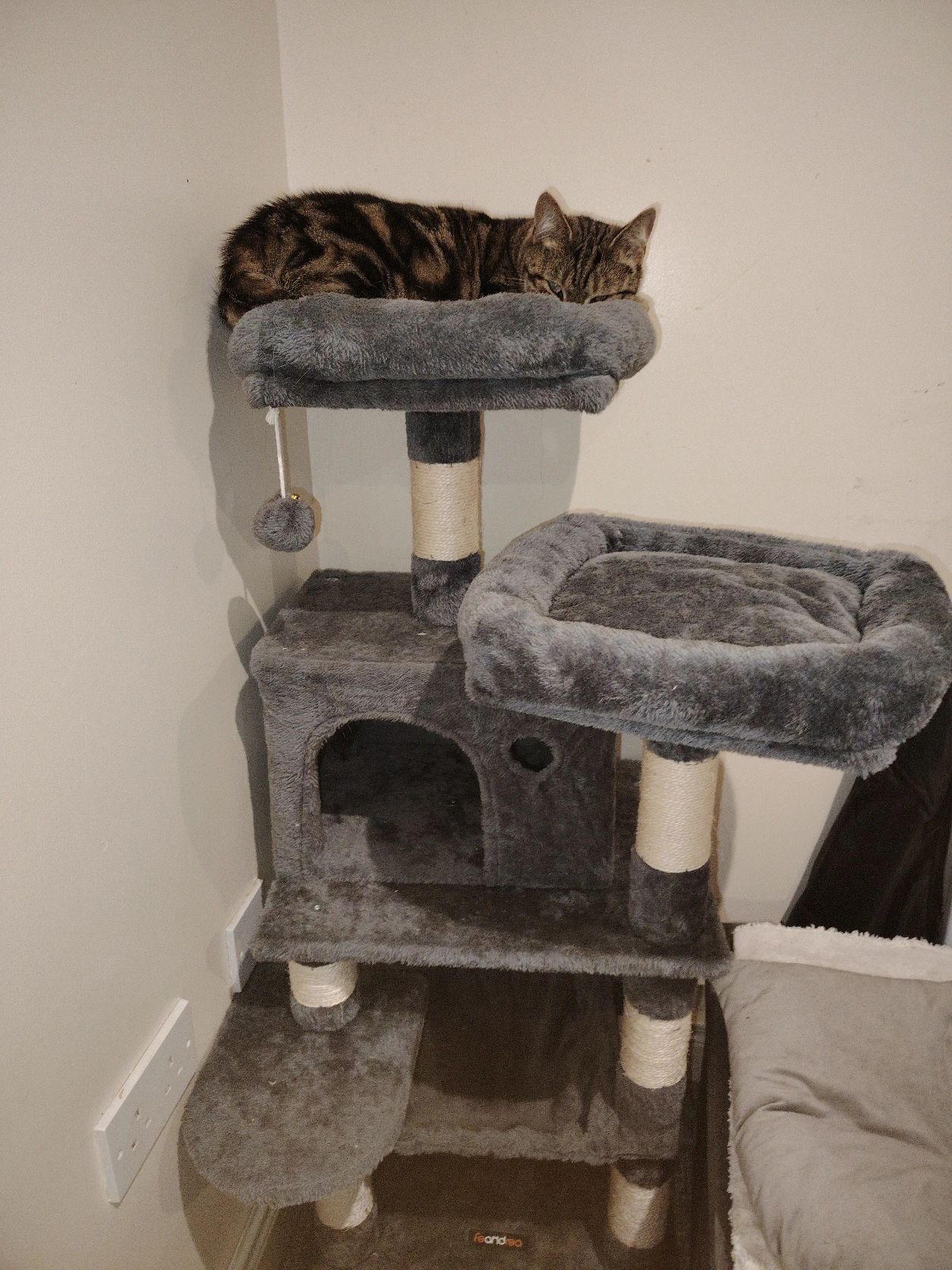 image-5