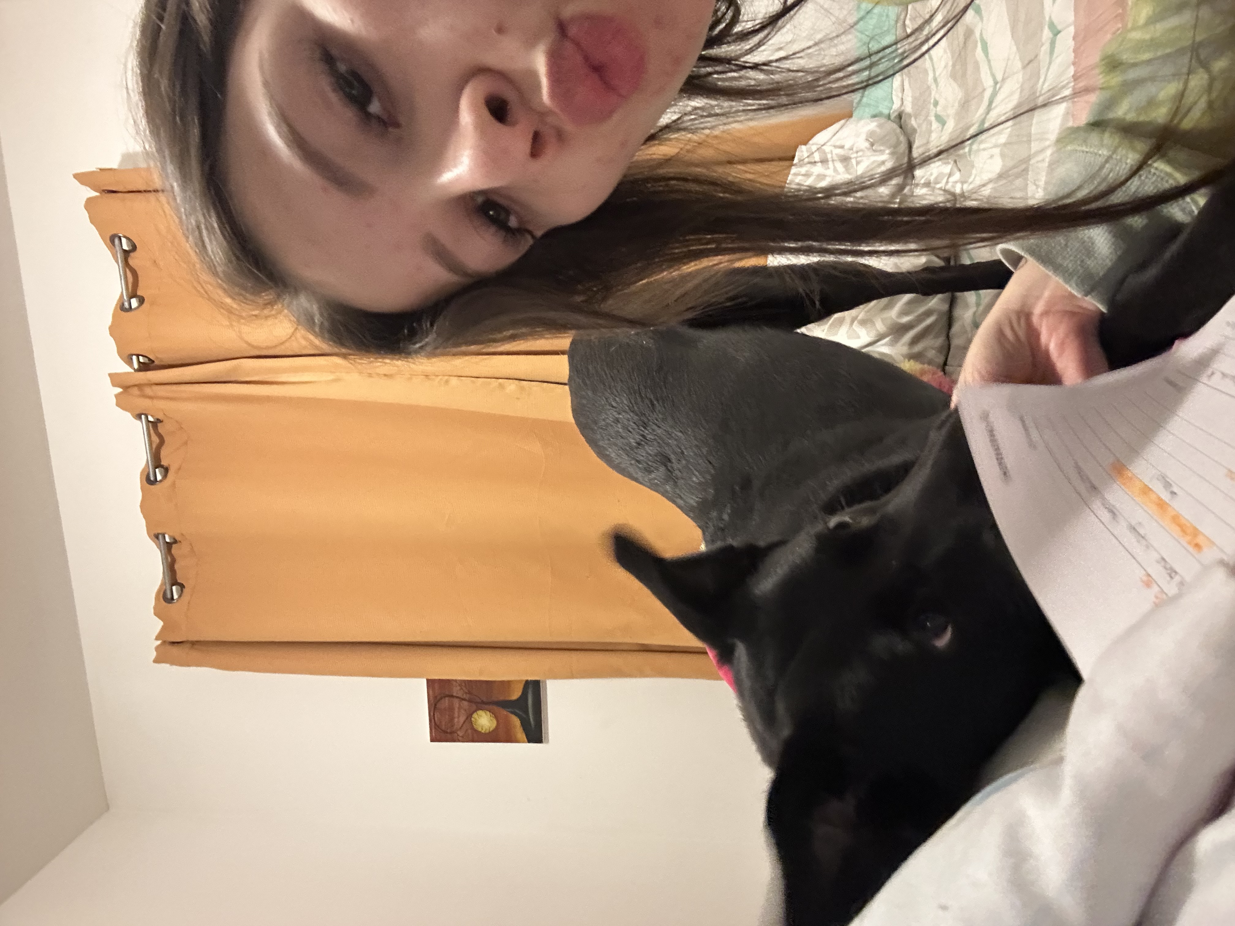 image-11