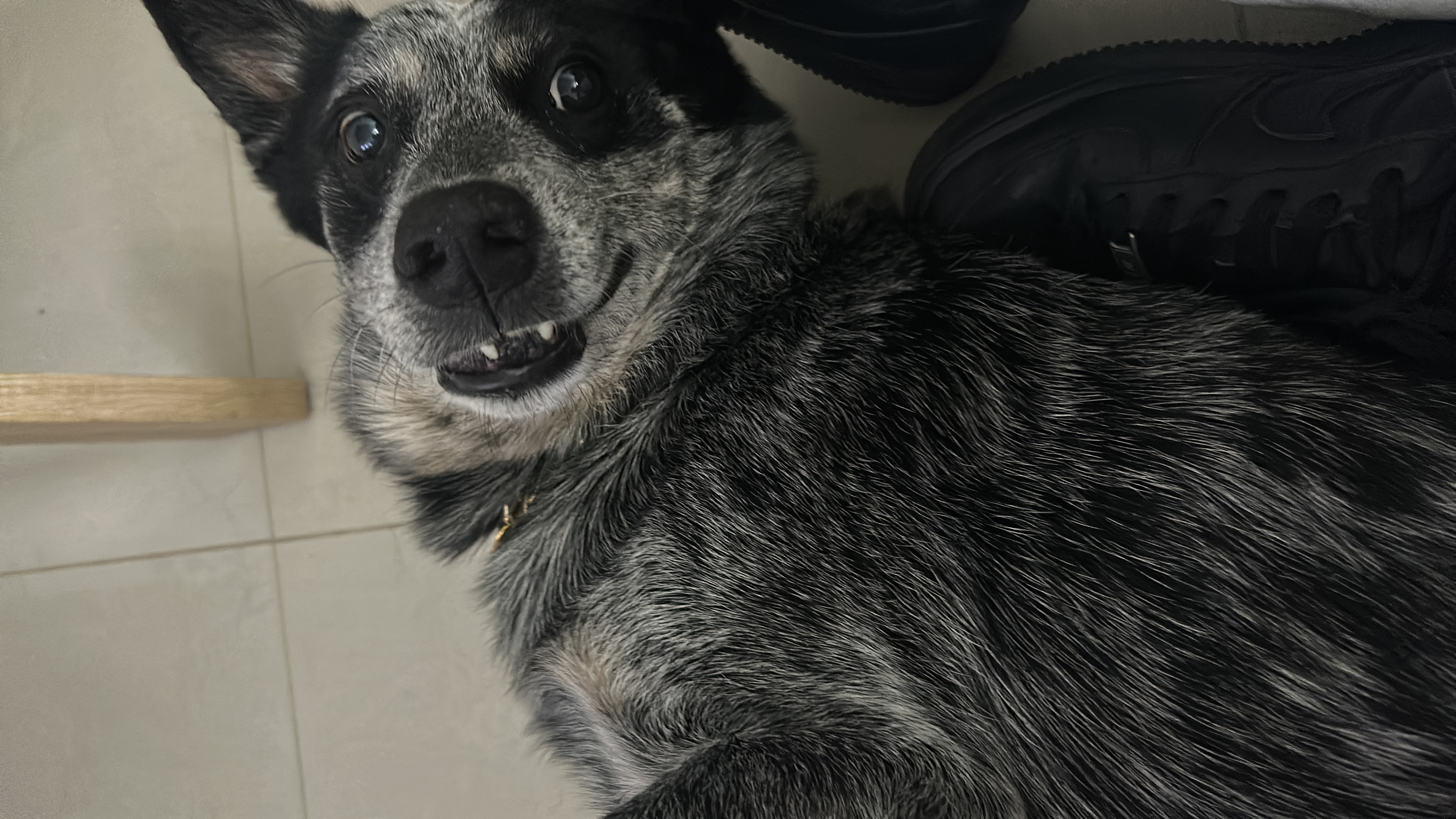 image-6