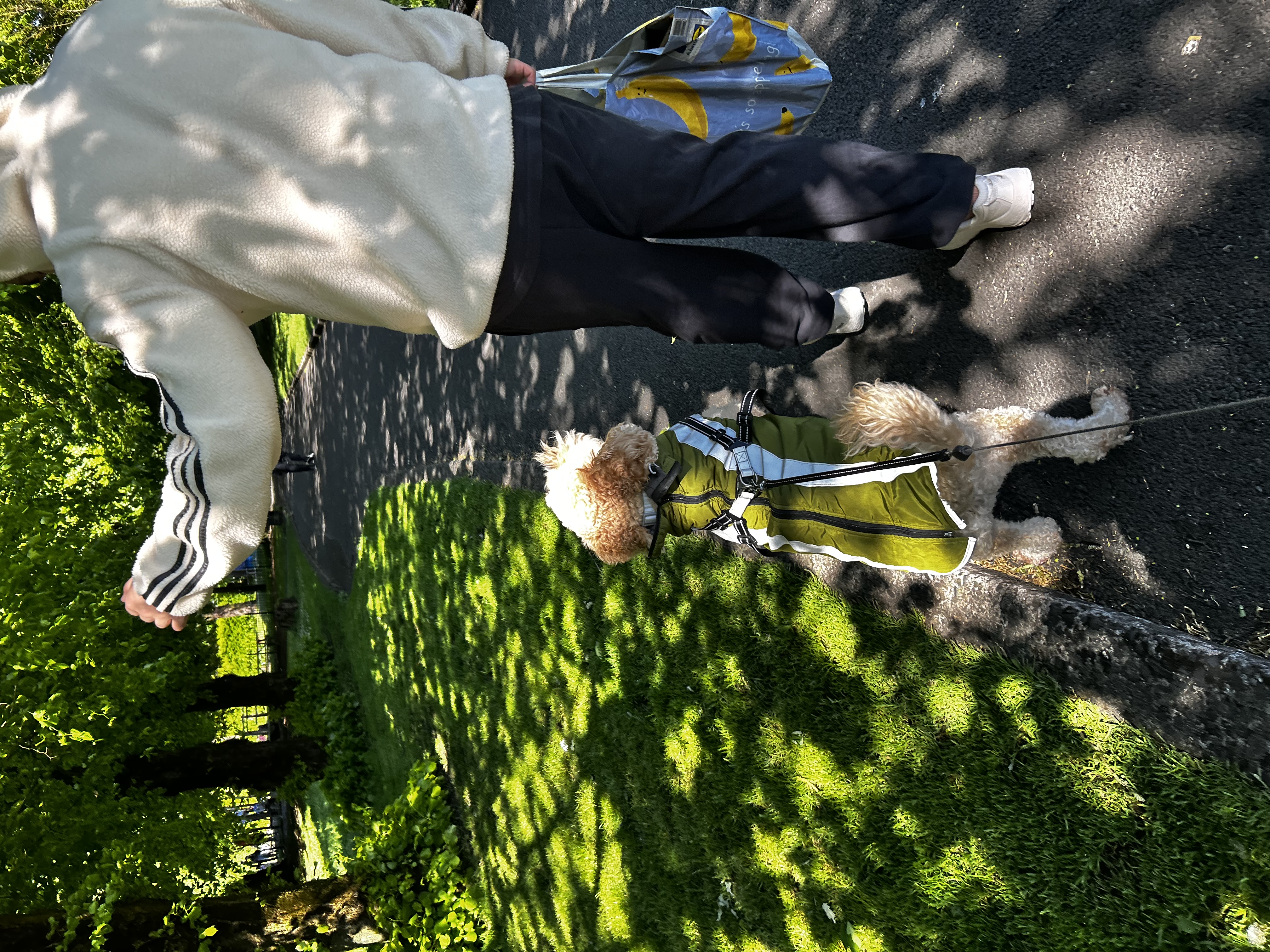 image-11