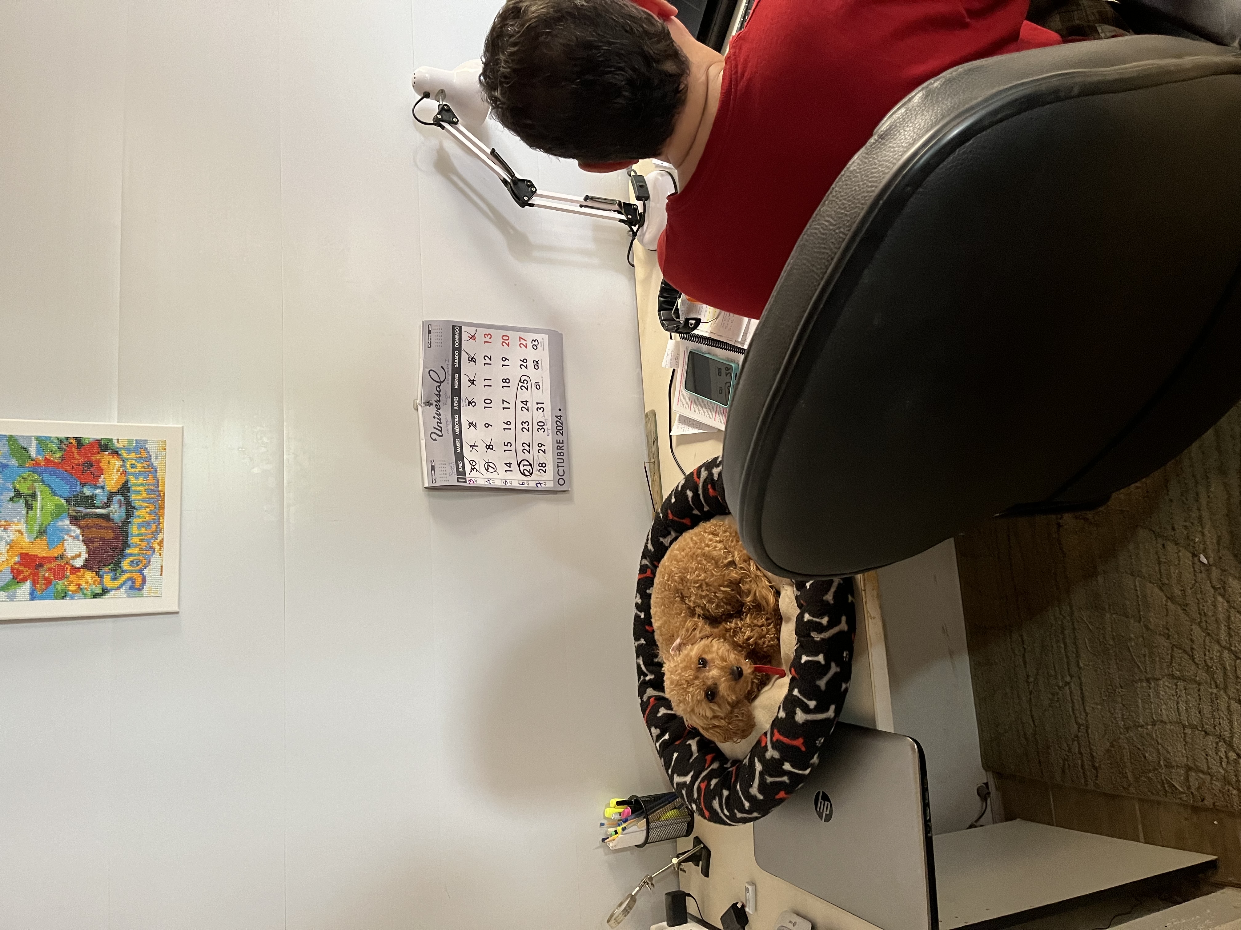 image-10