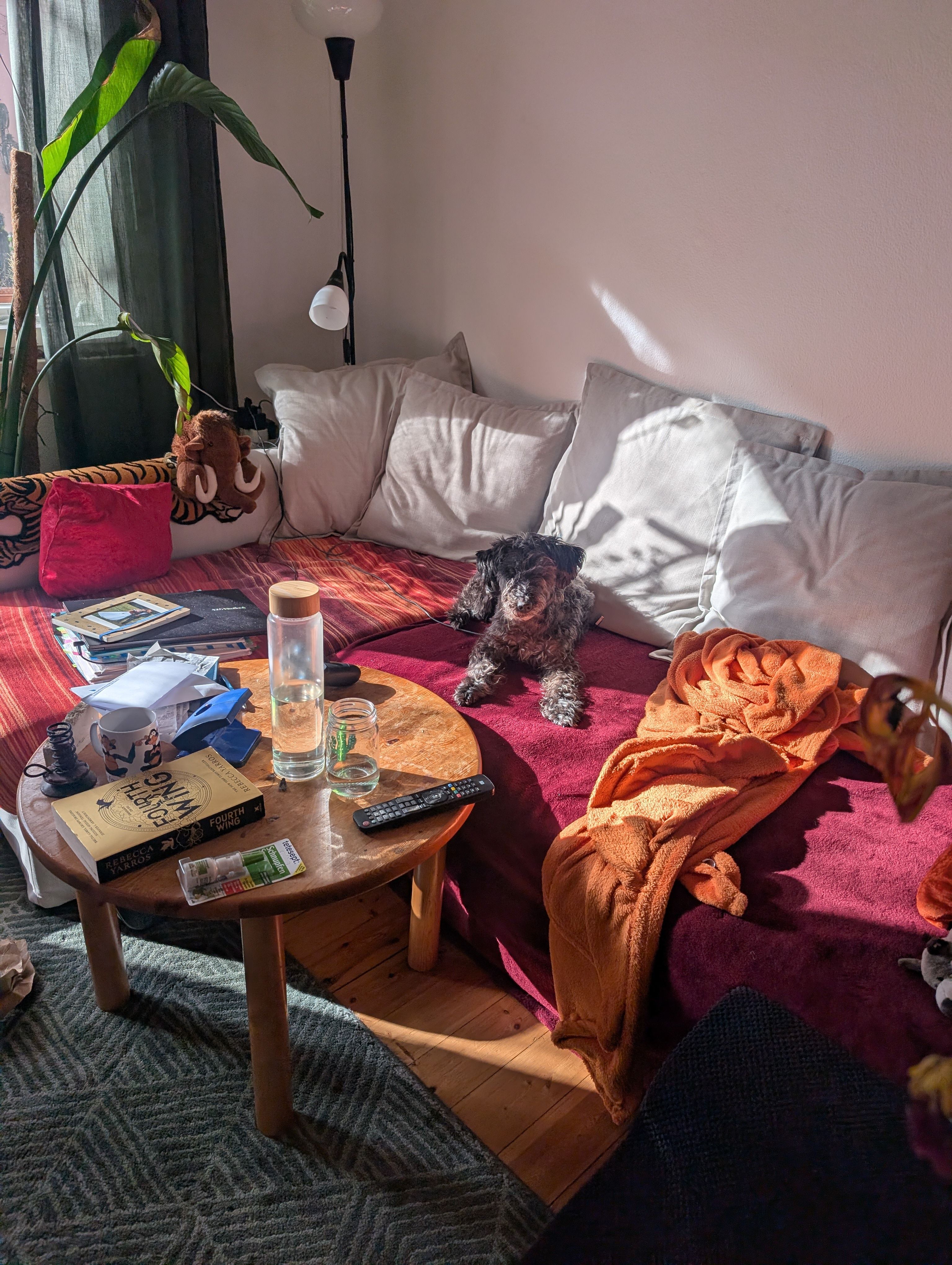 image-12