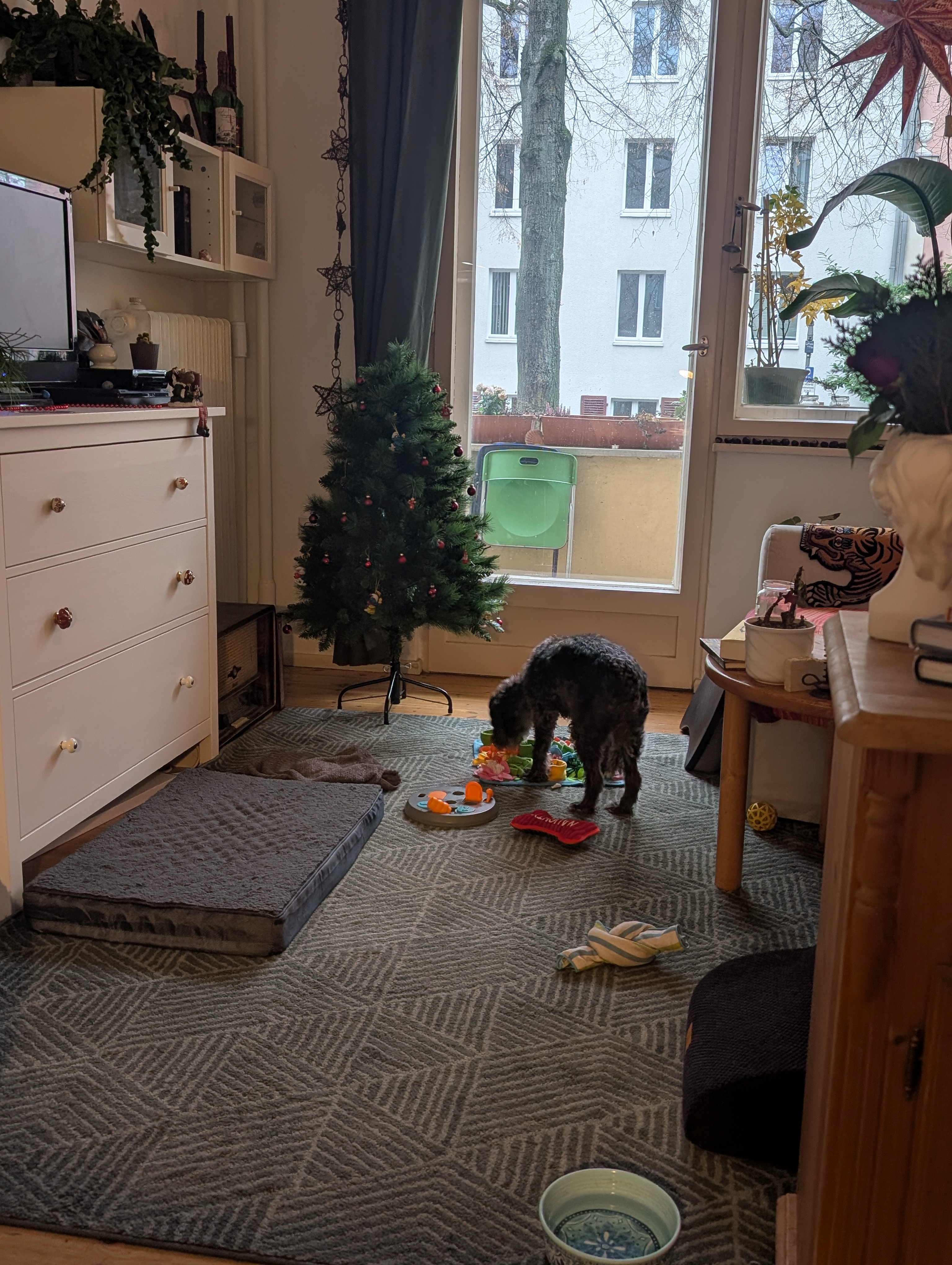 image-9