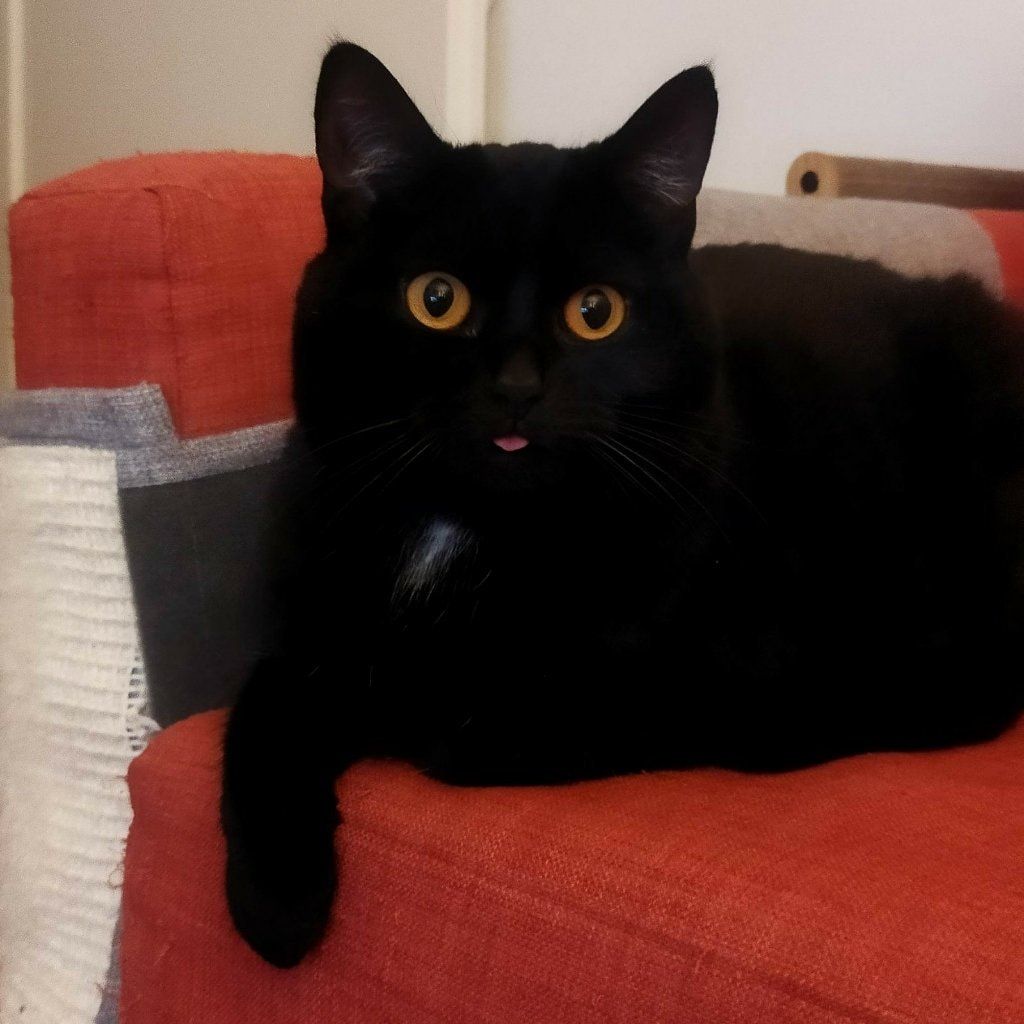 Maila