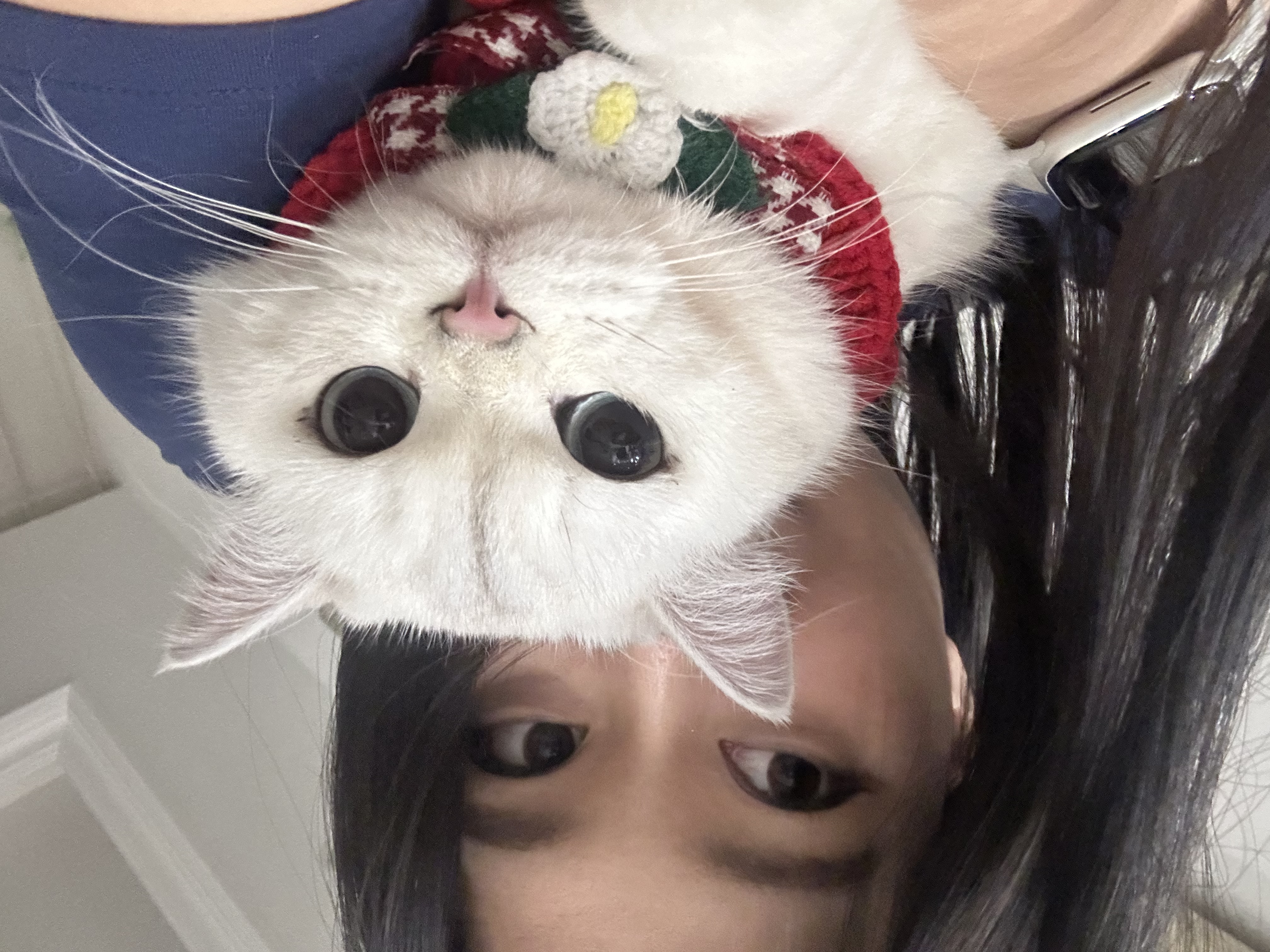 image-6