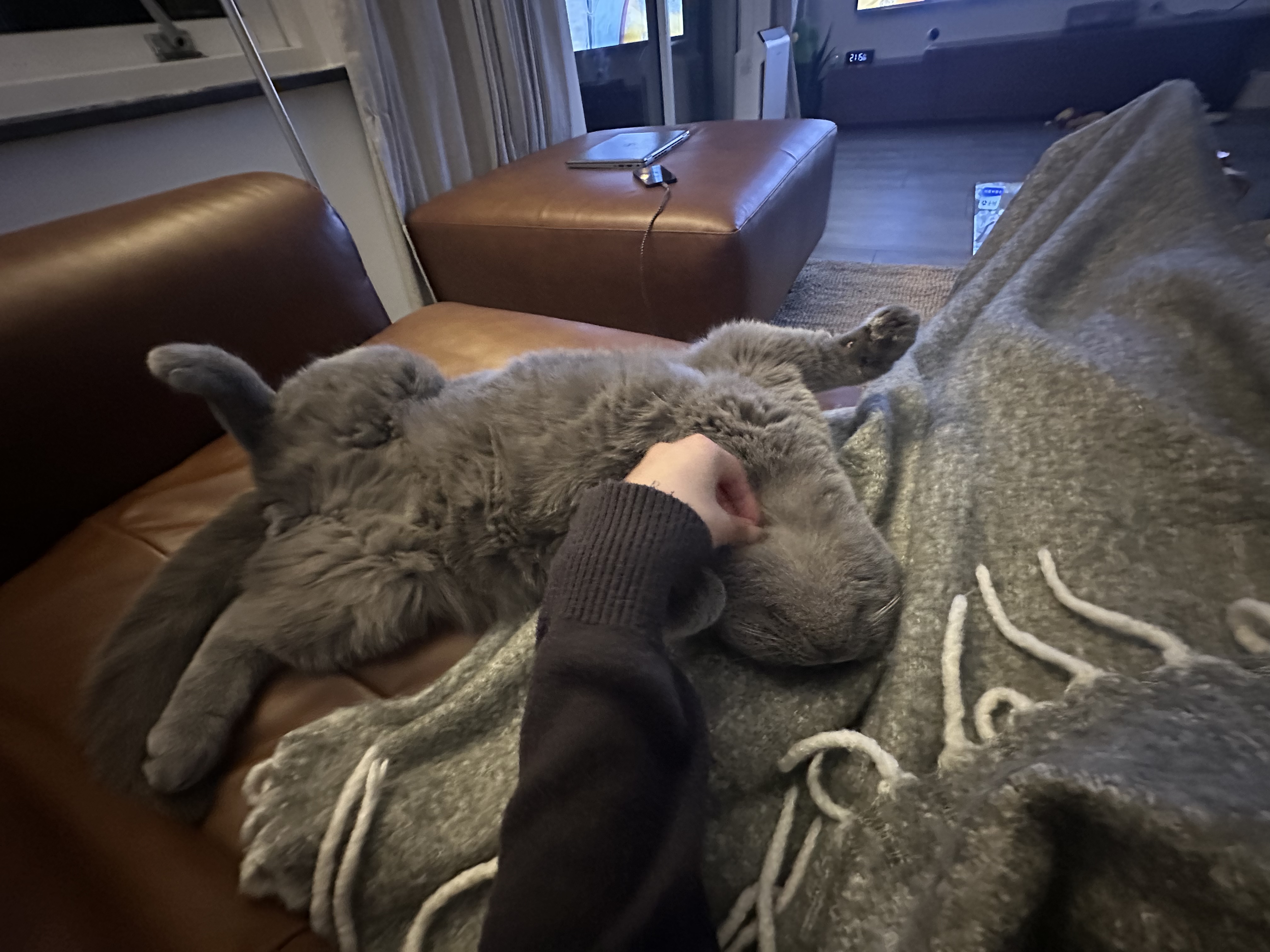 image-2
