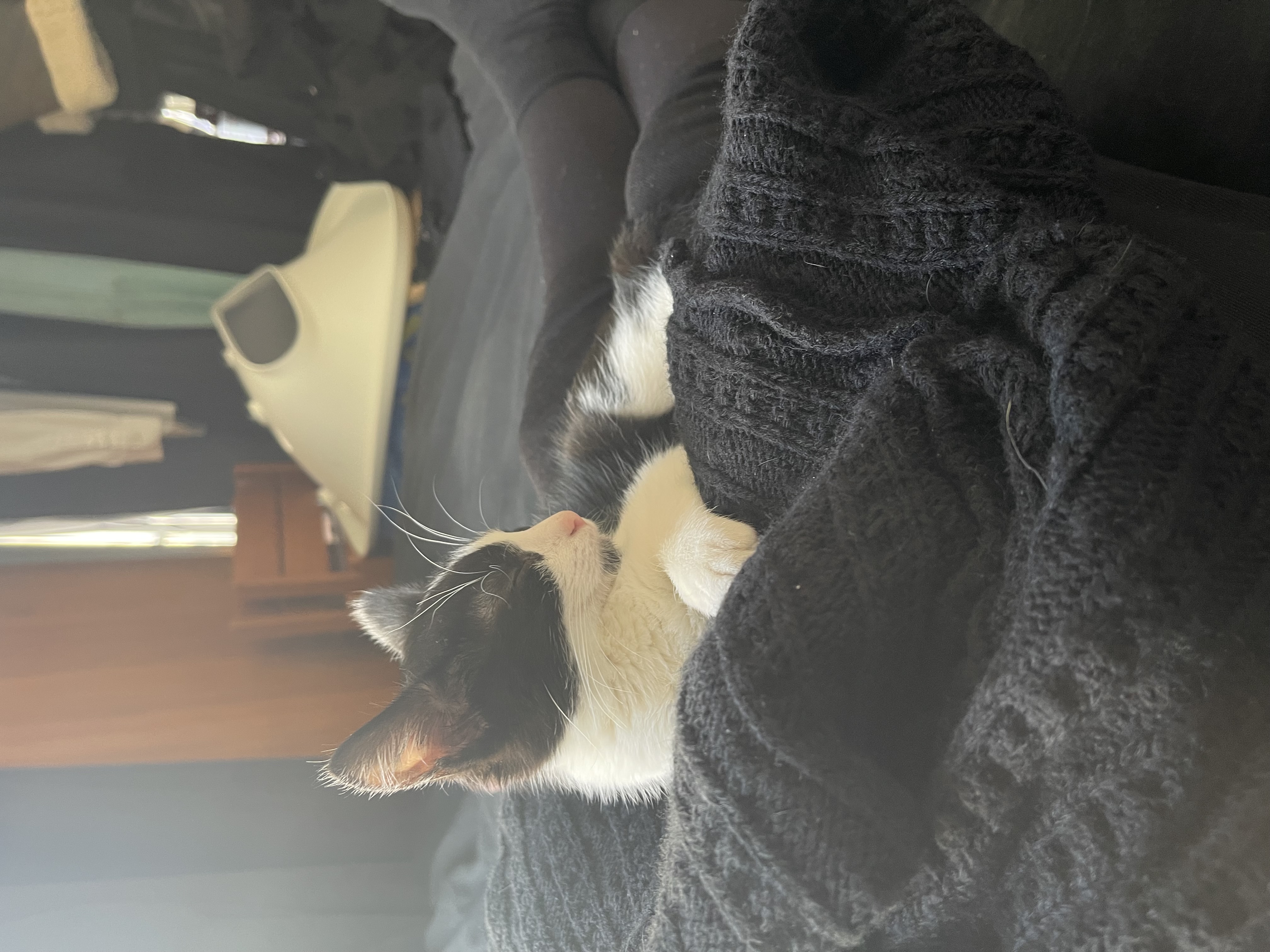 image-8