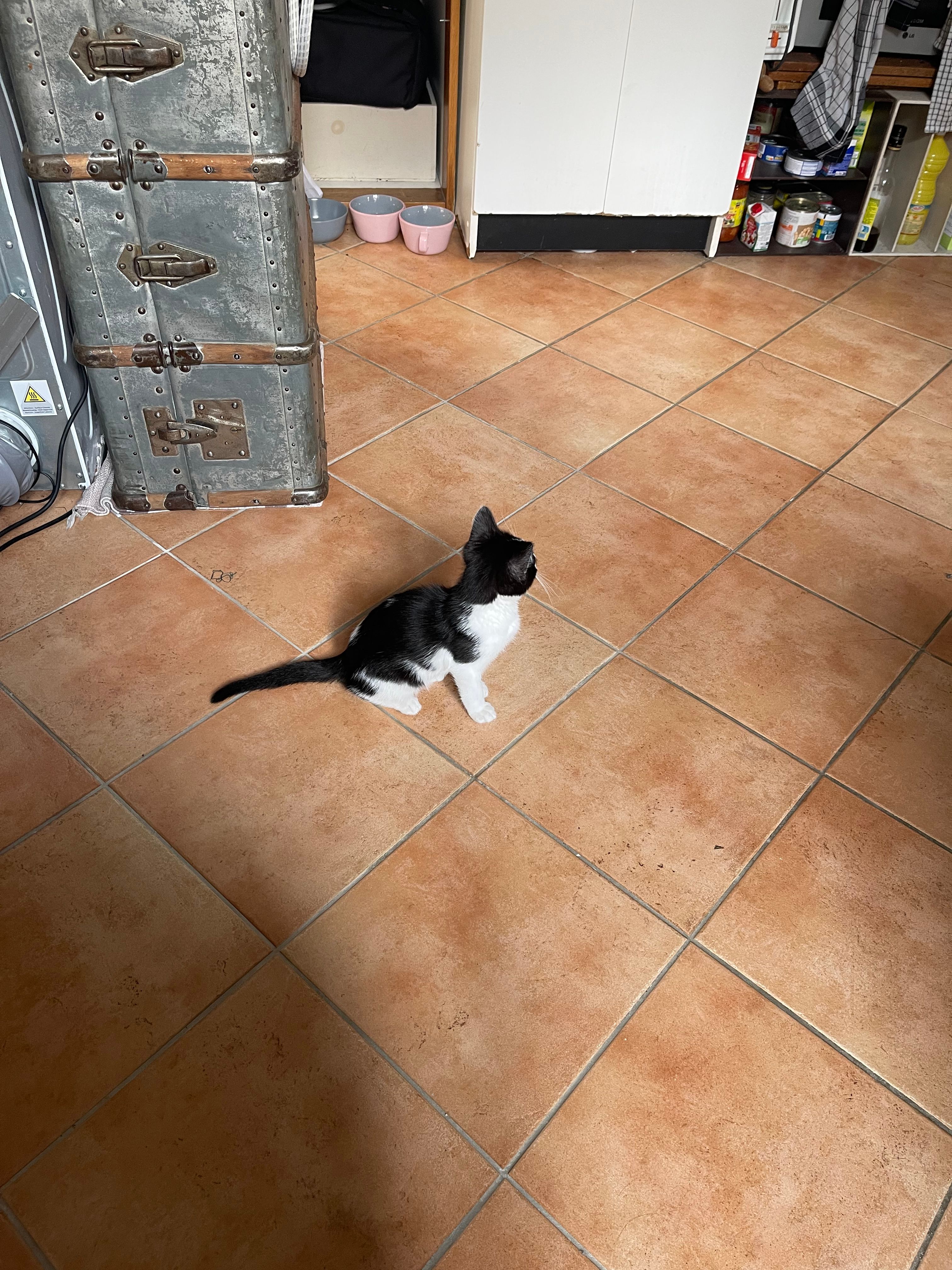image-16