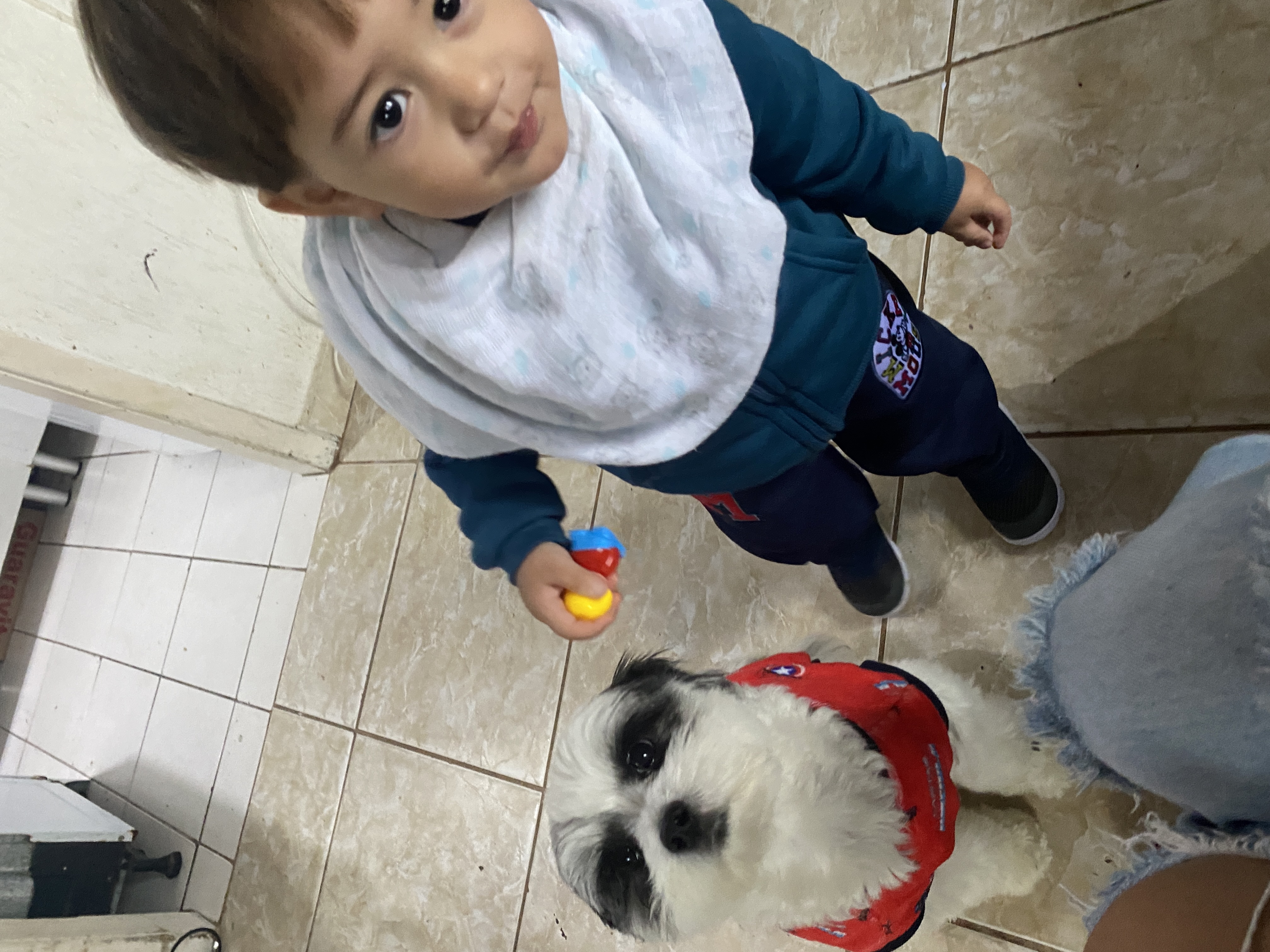 image-16