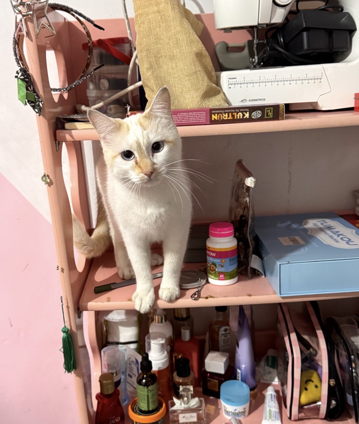 image-8