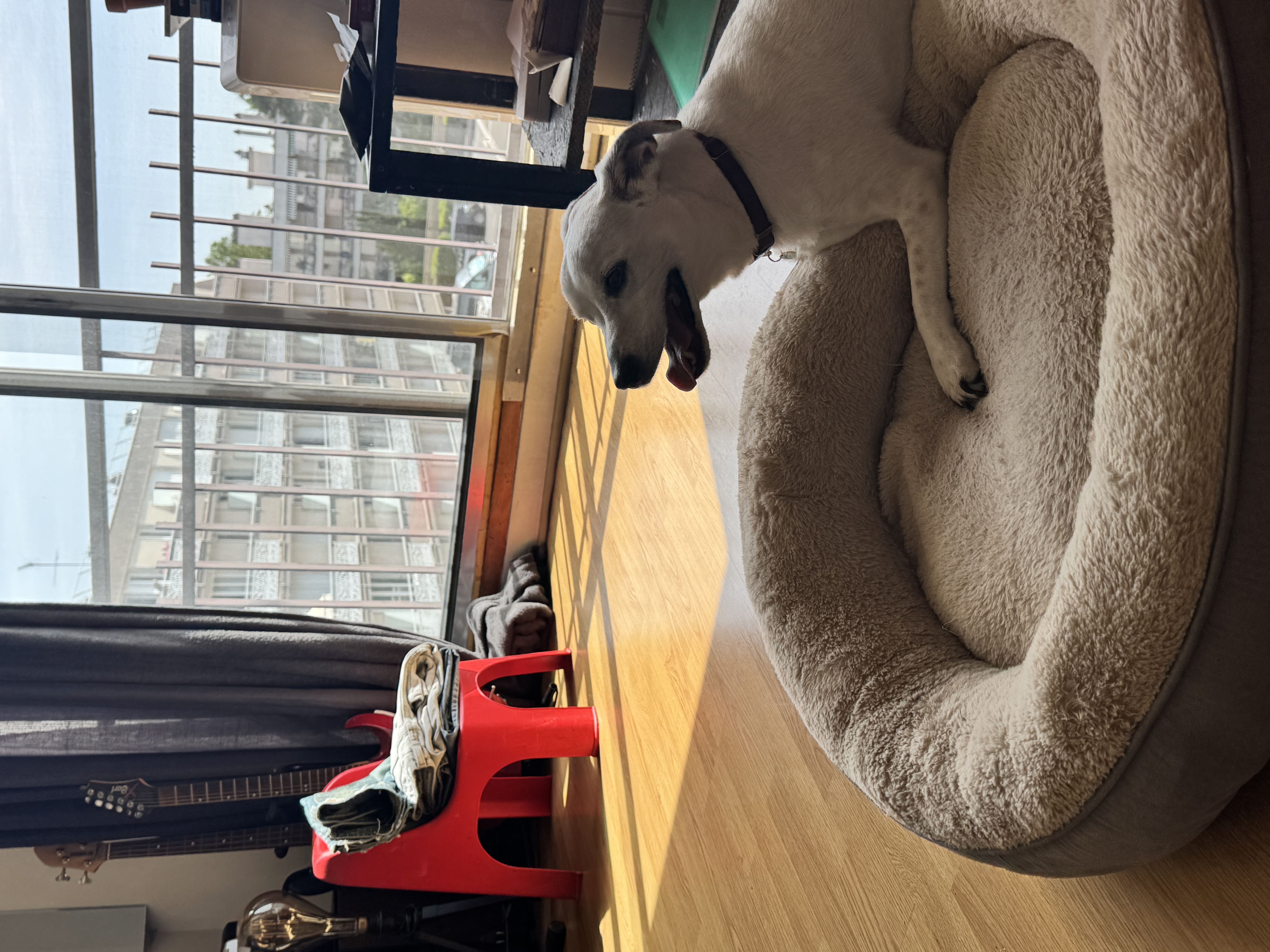 image-19