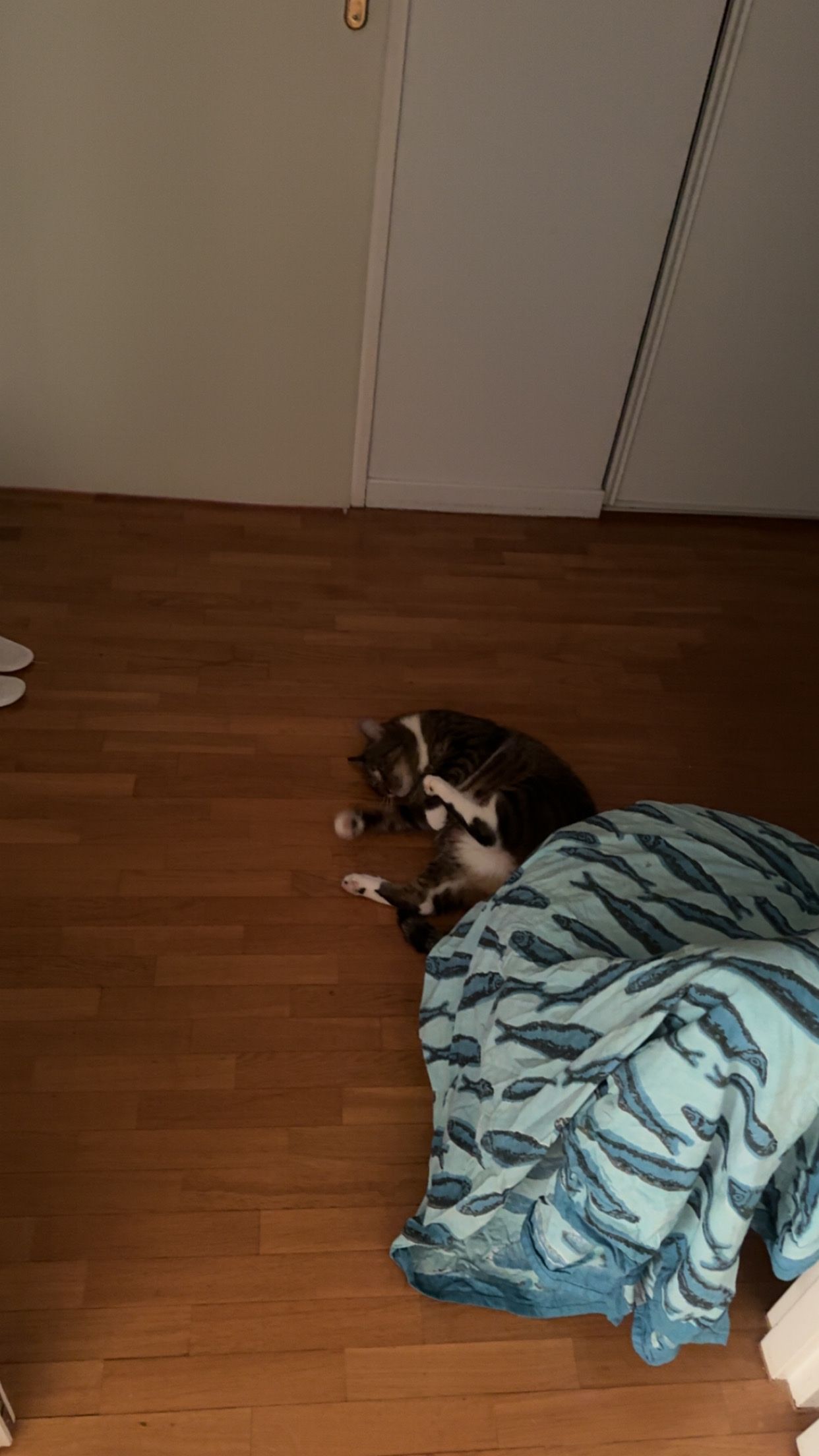 image-21