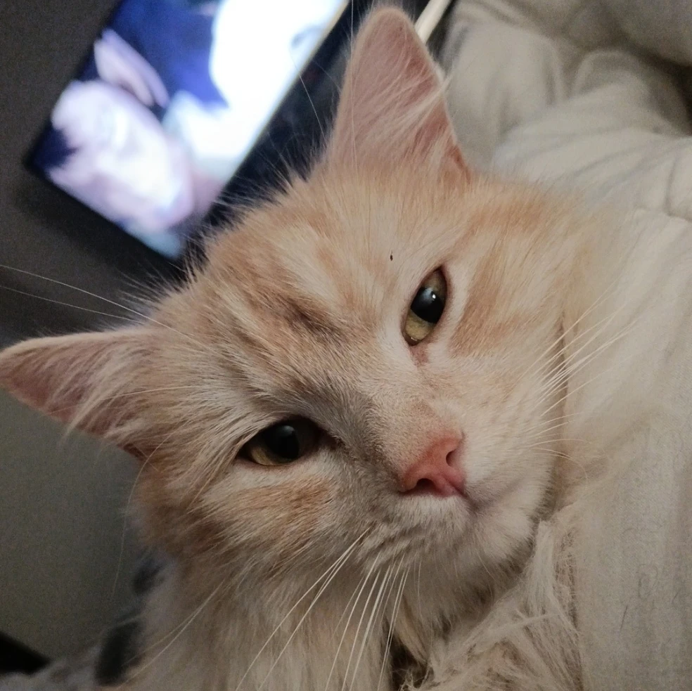 uky