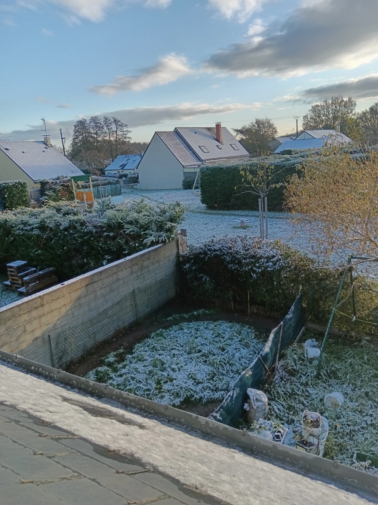 image-10