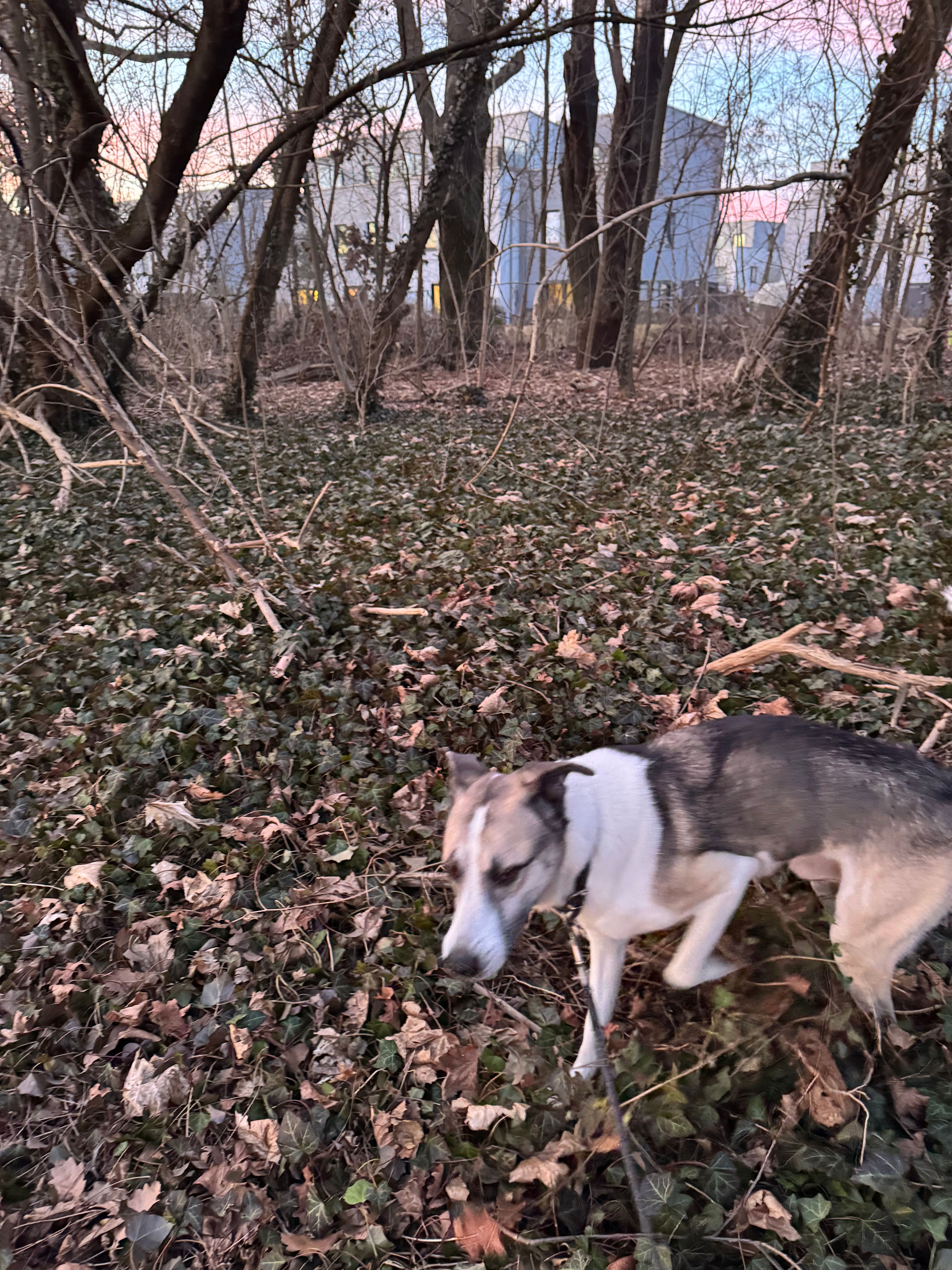 image-9