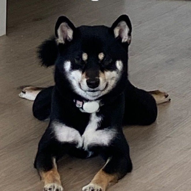Lulu