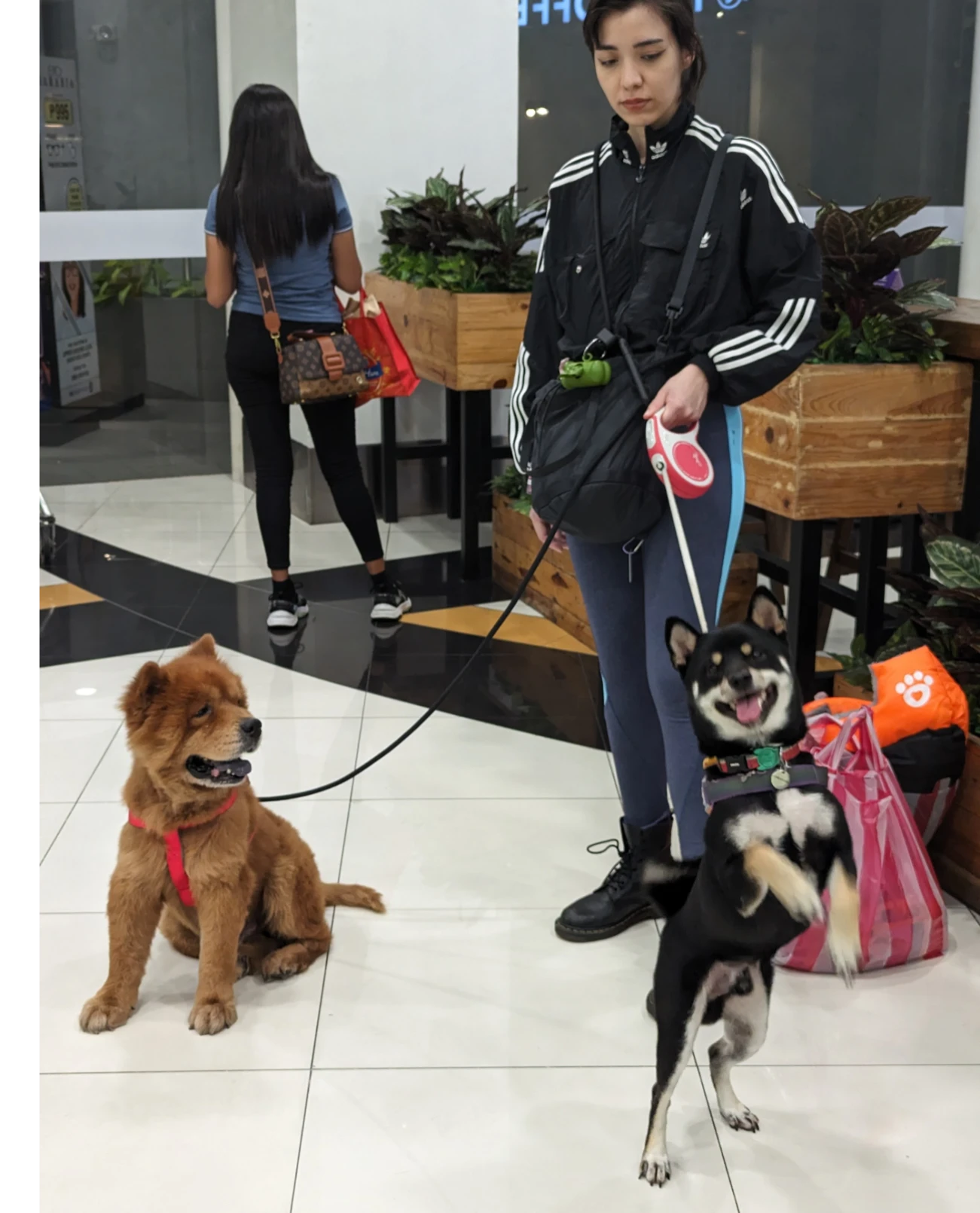 image-4