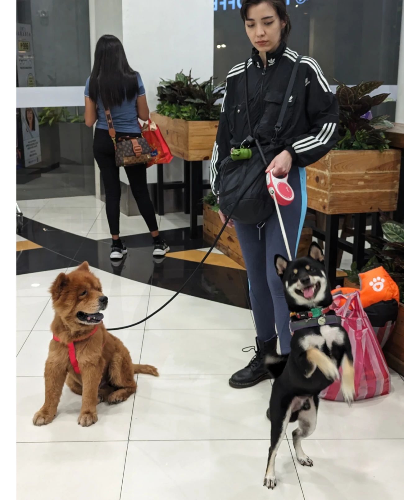 image-4