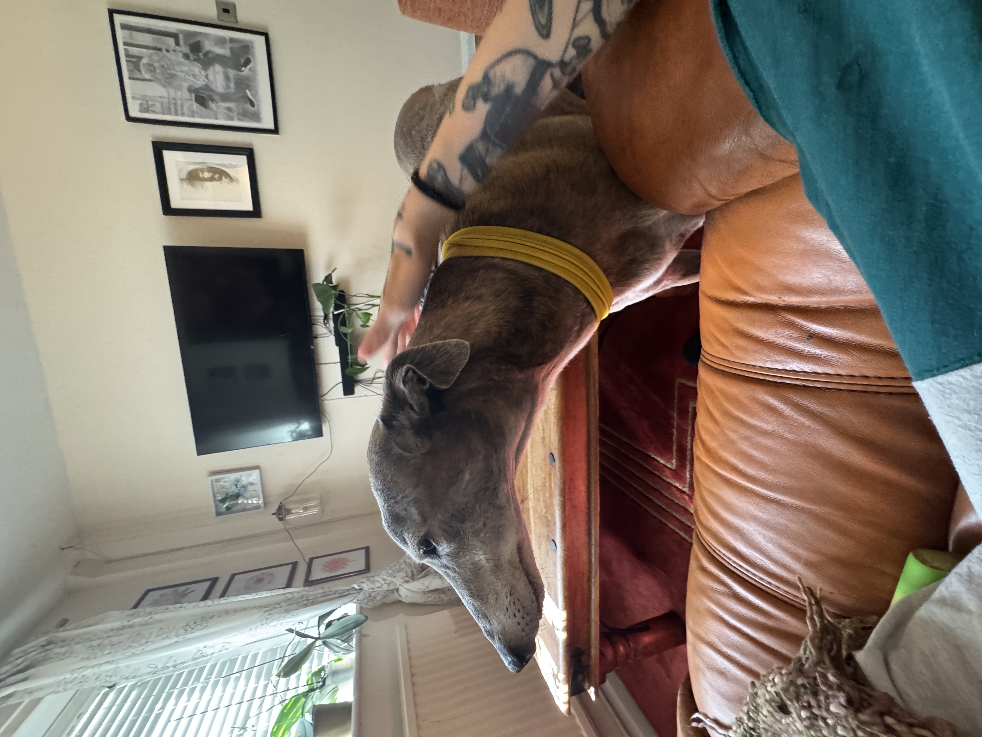 image-12