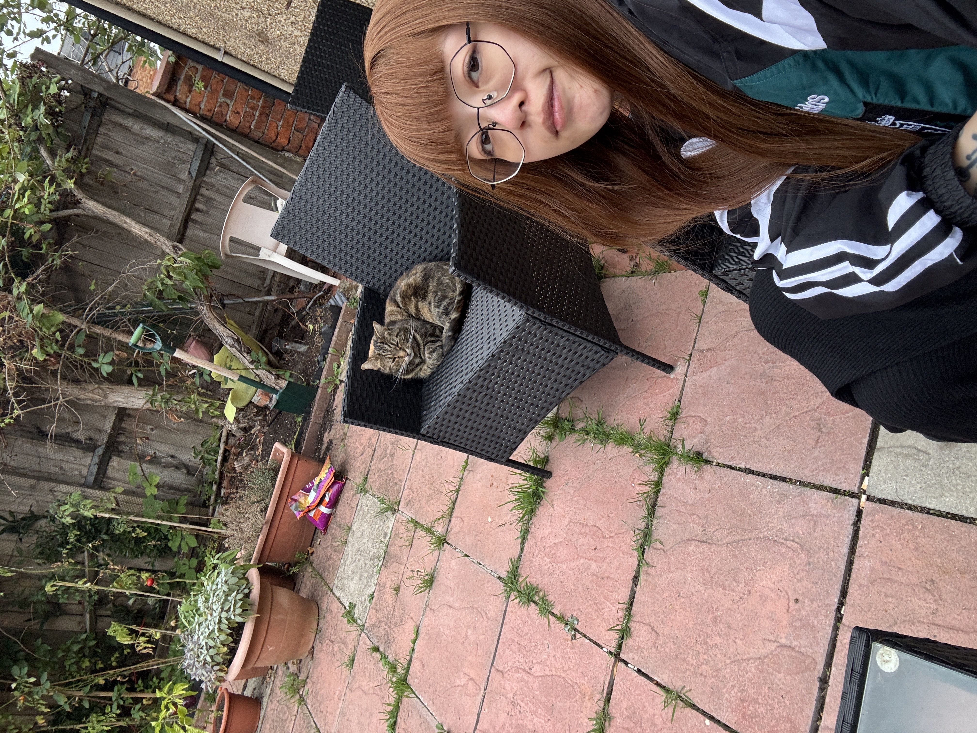 image-14