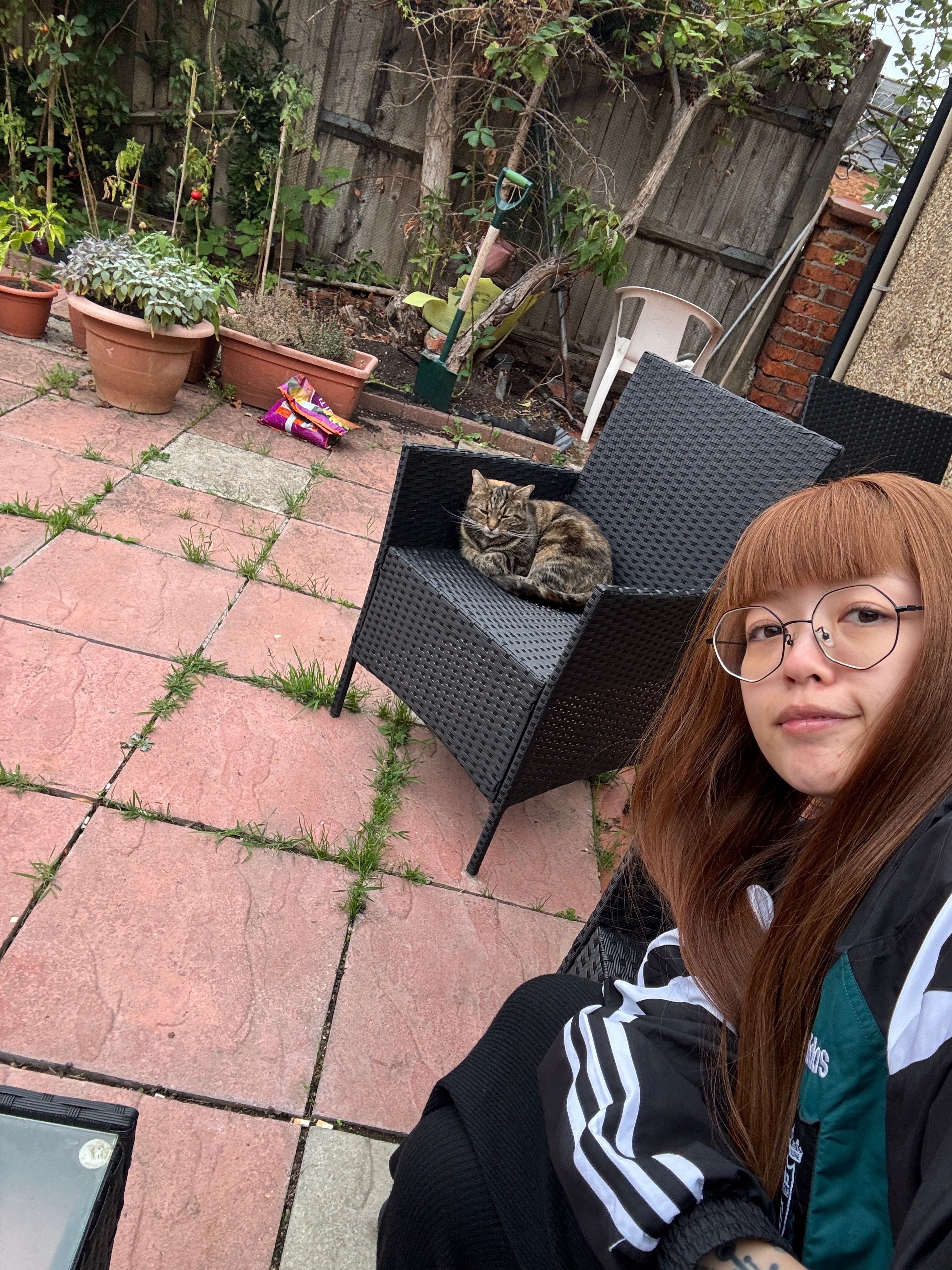 image-14
