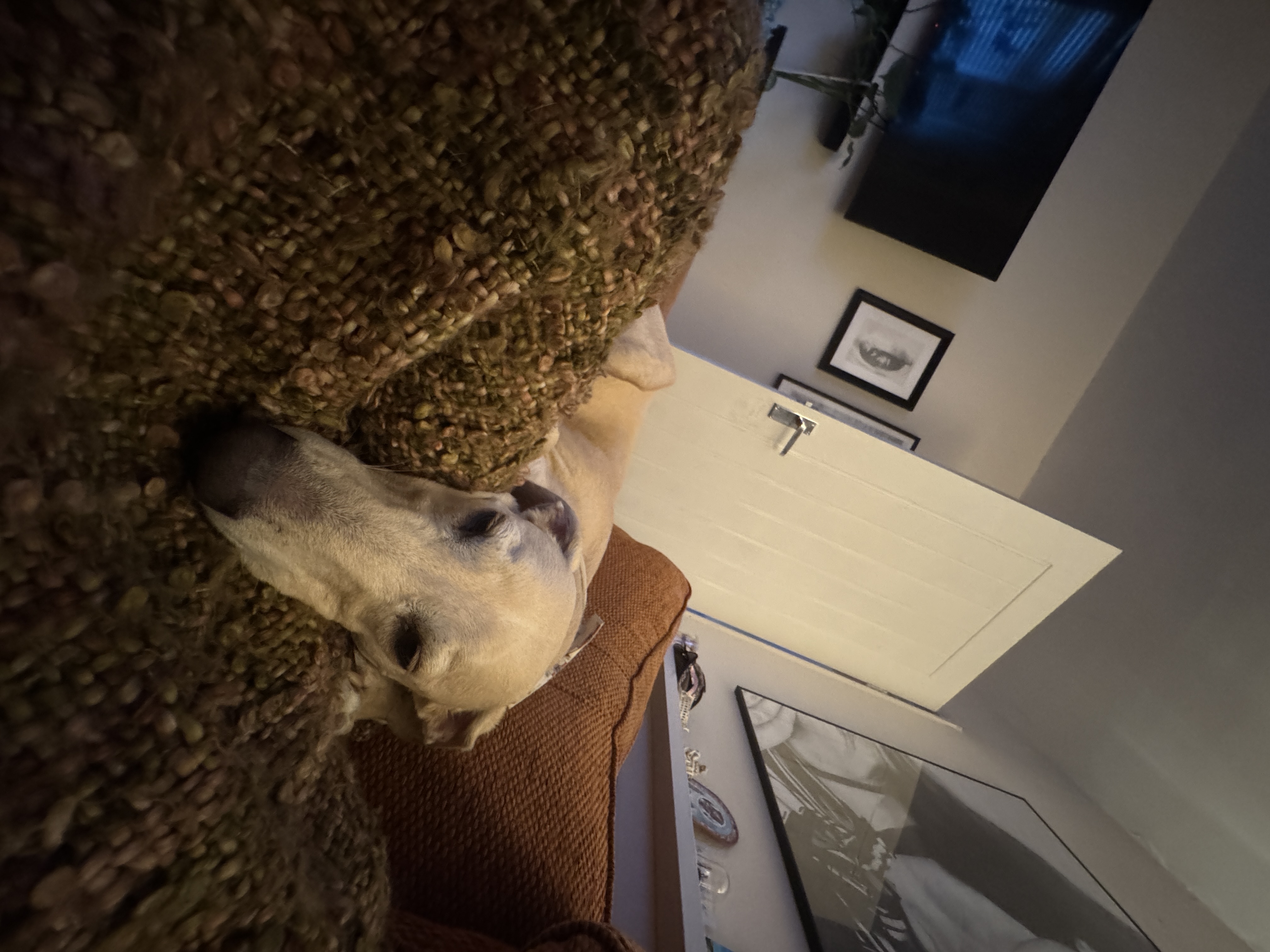 image-11