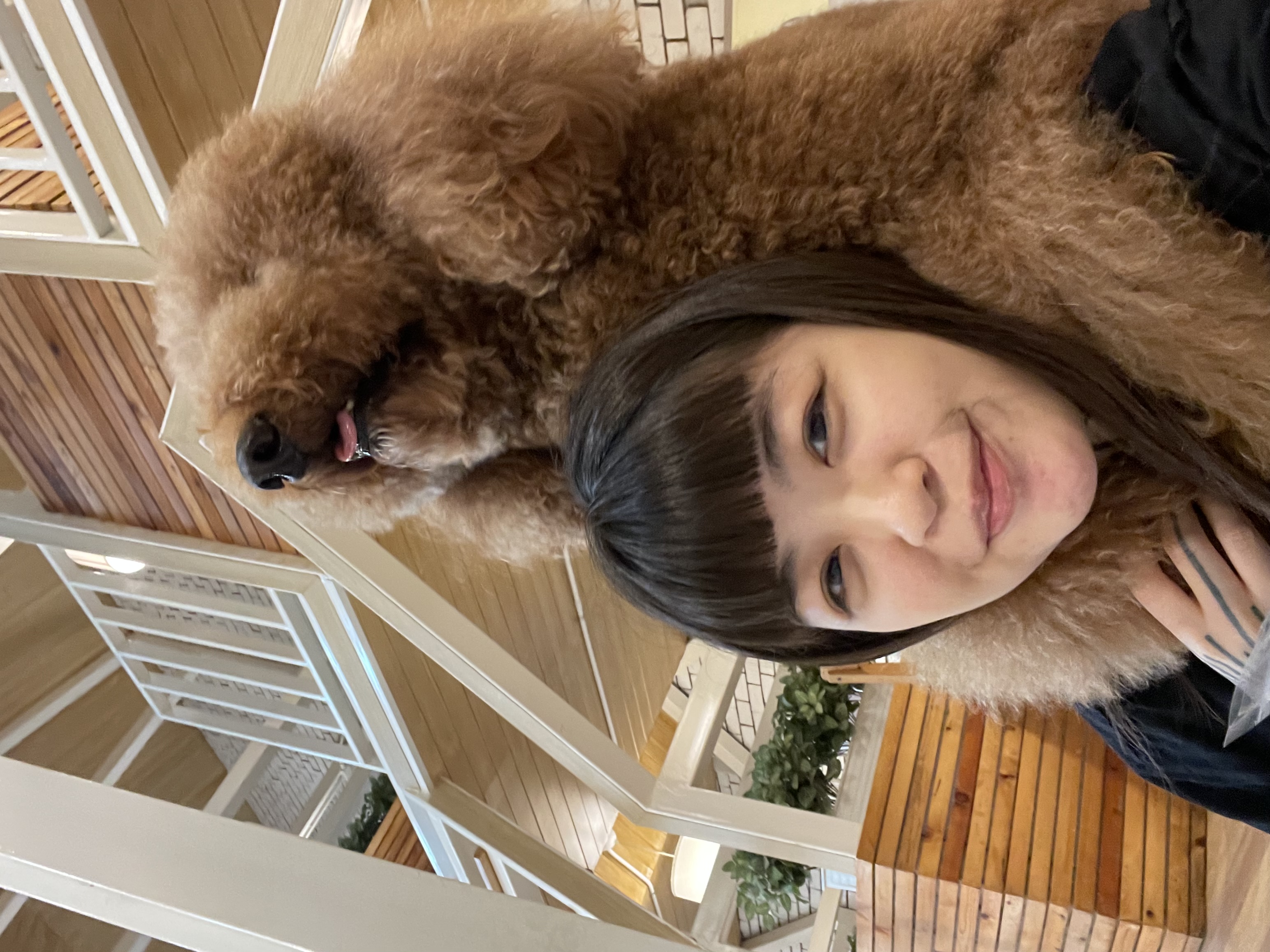 image-8