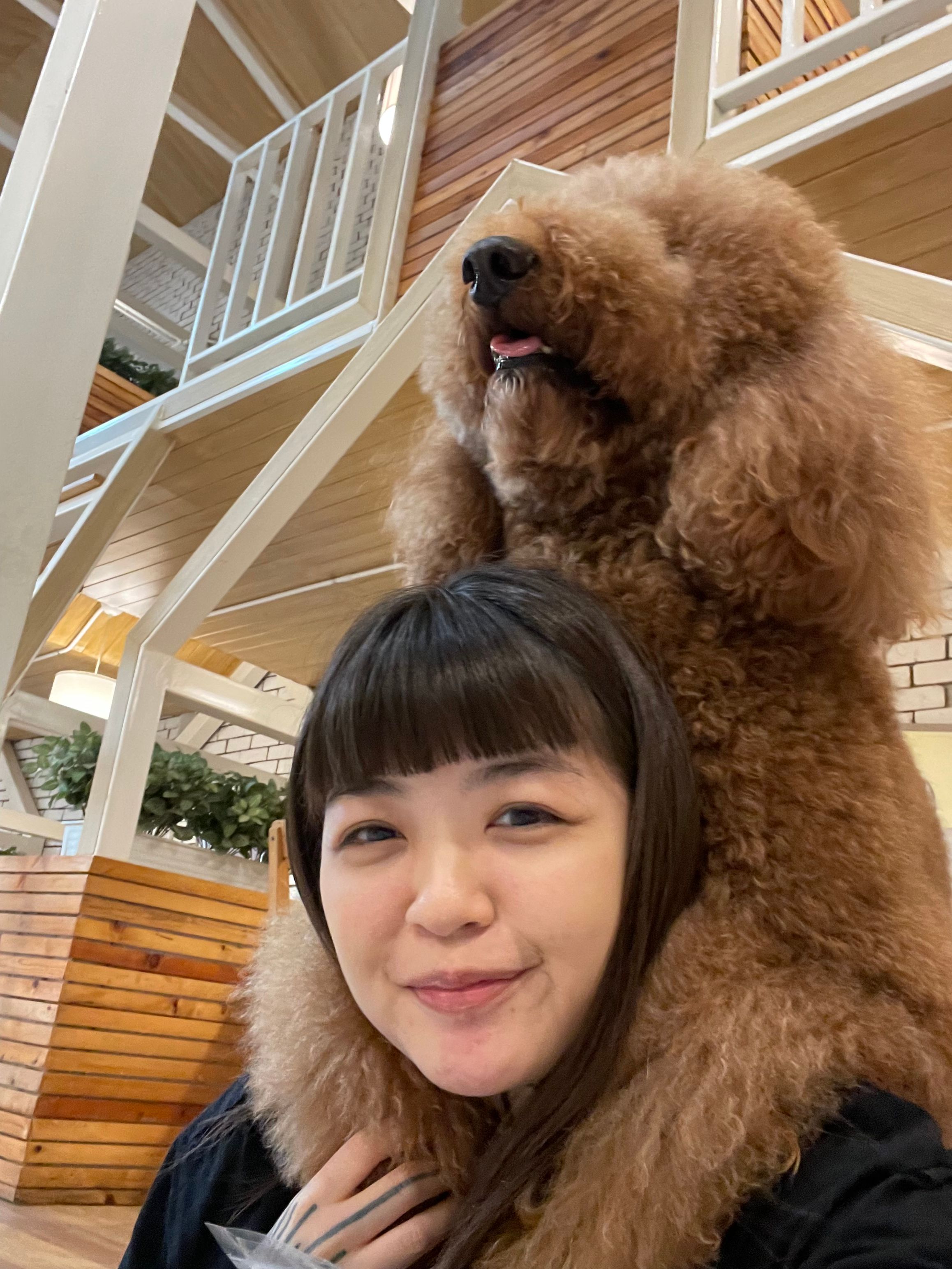 image-8