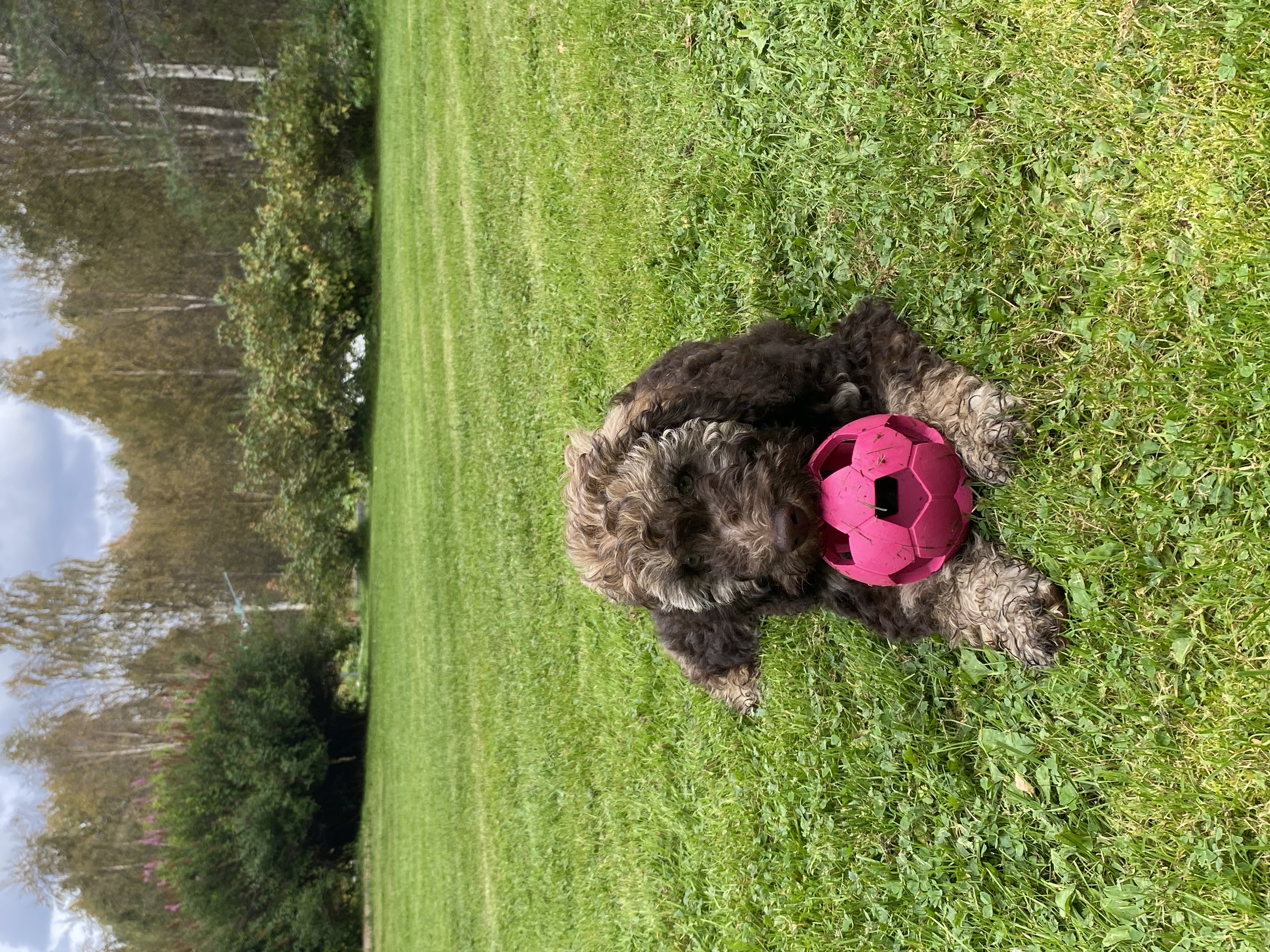 image-9