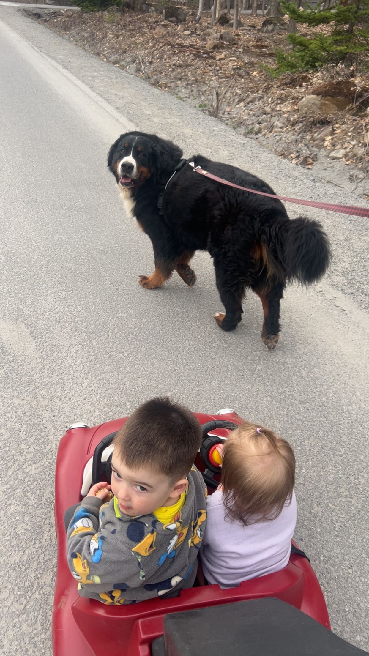 image-9