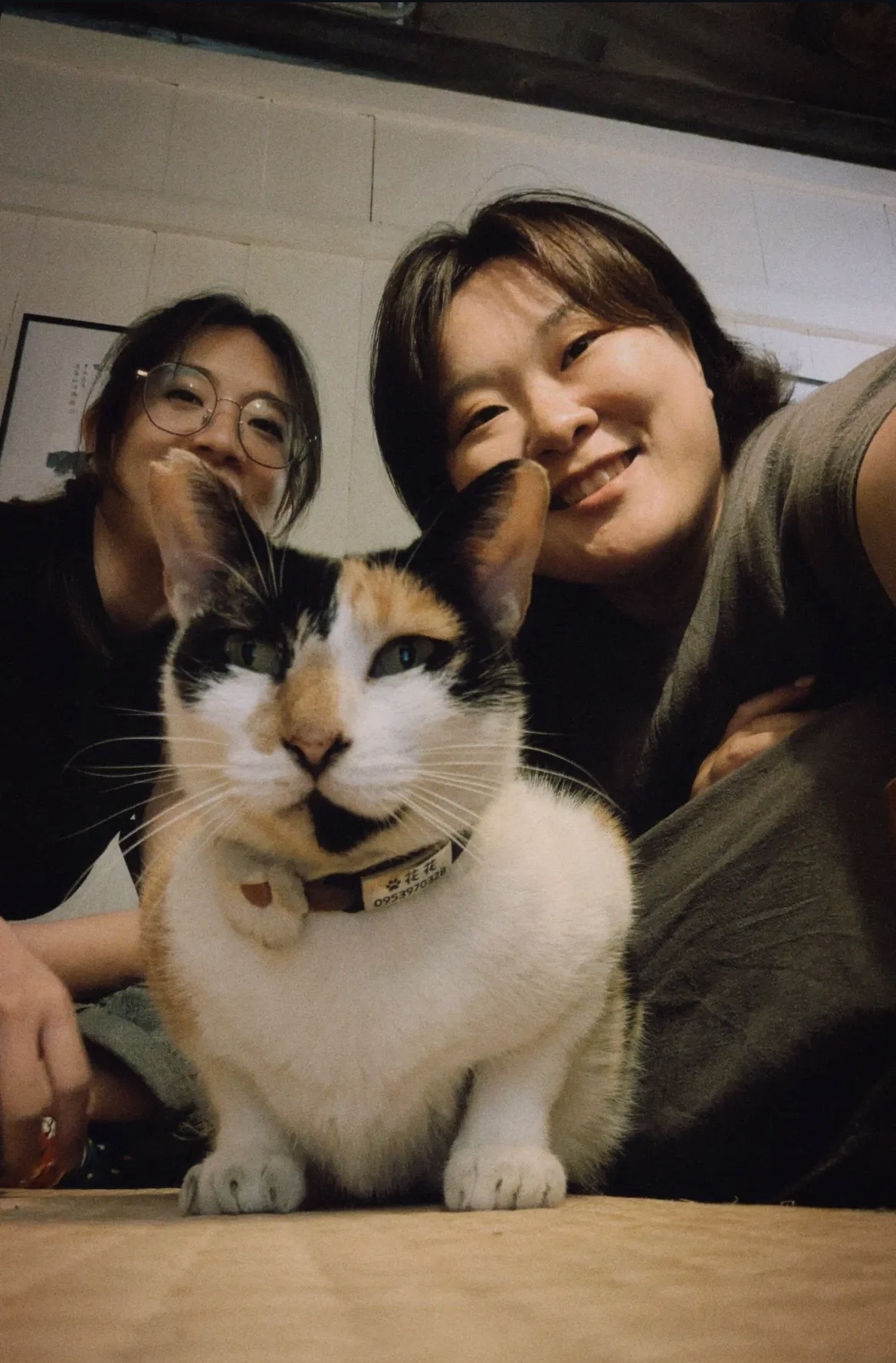 image-8