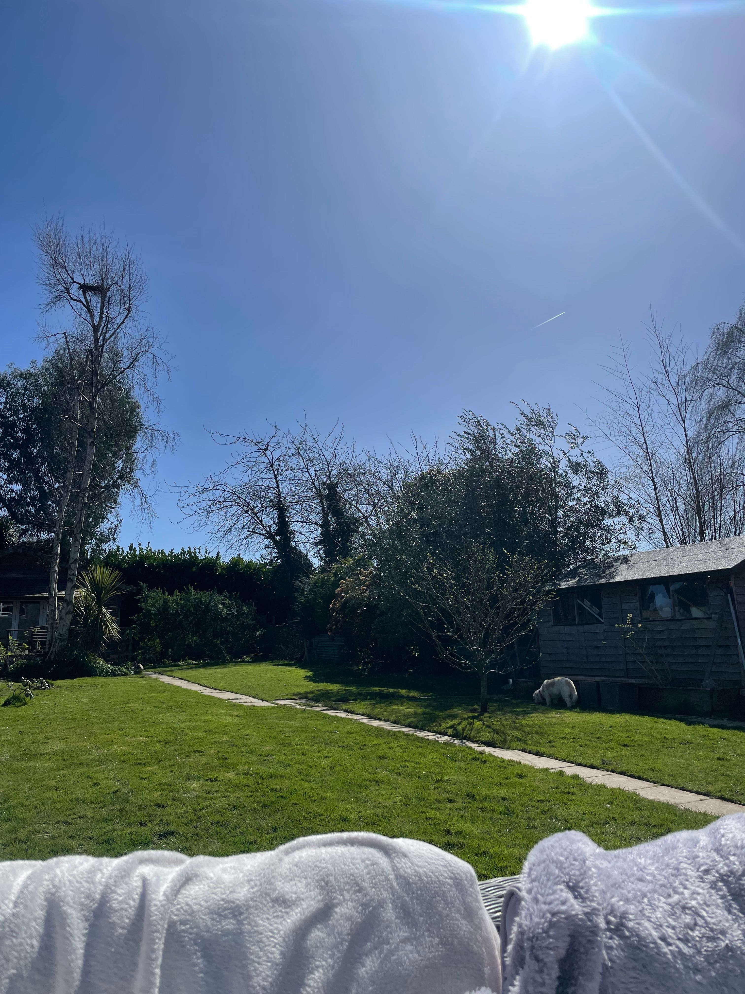 image-15