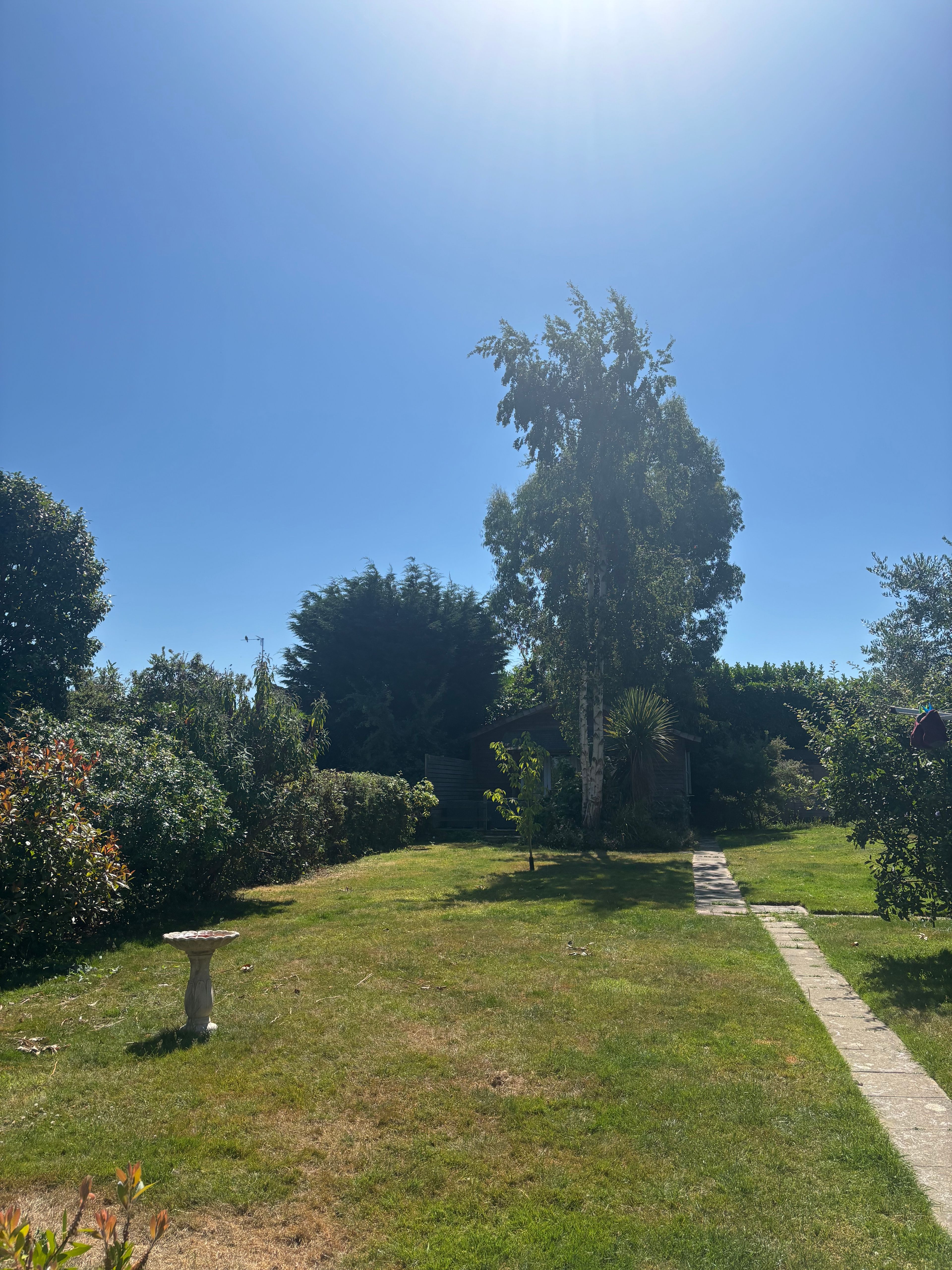 image-19