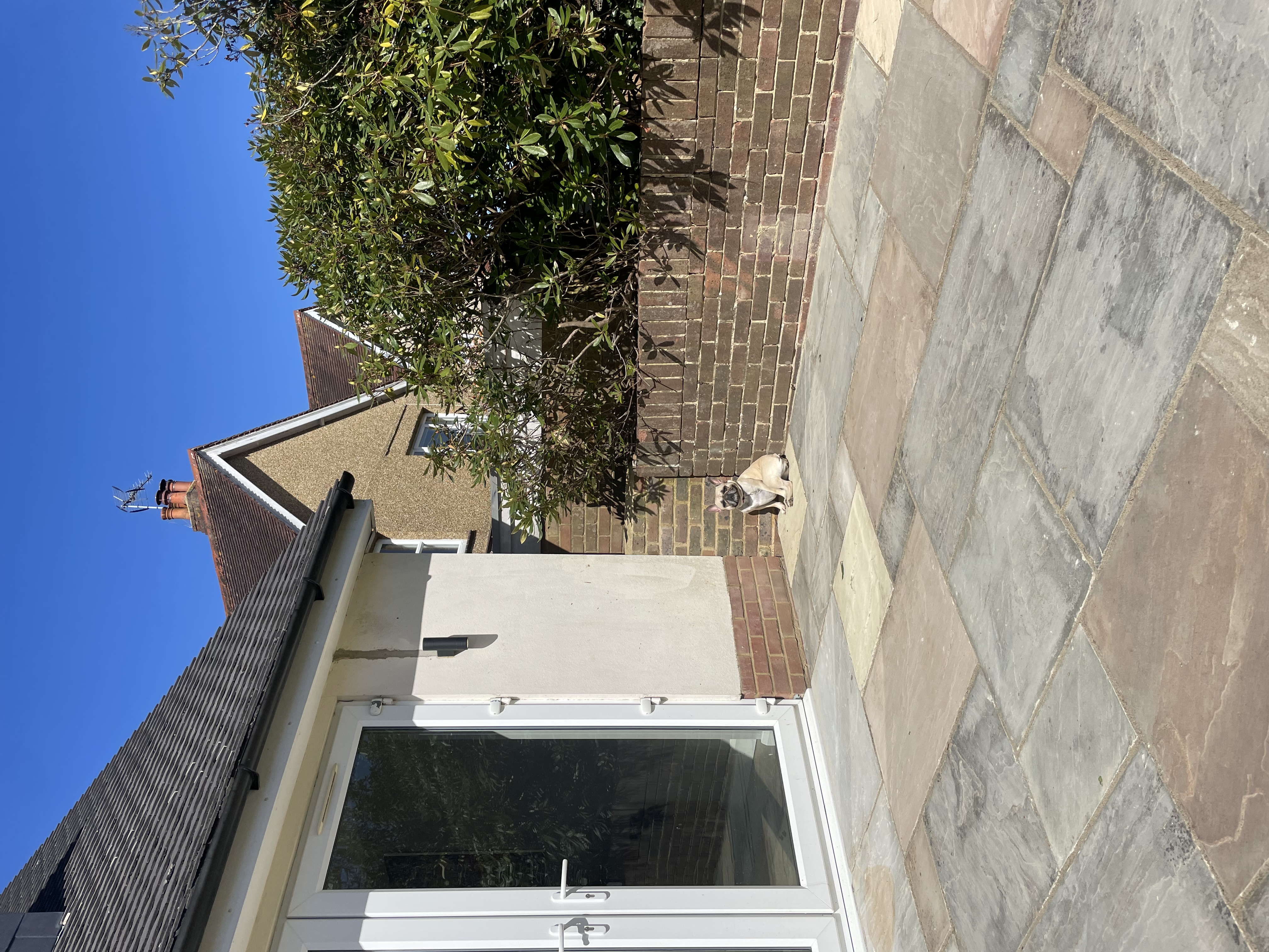 image-13