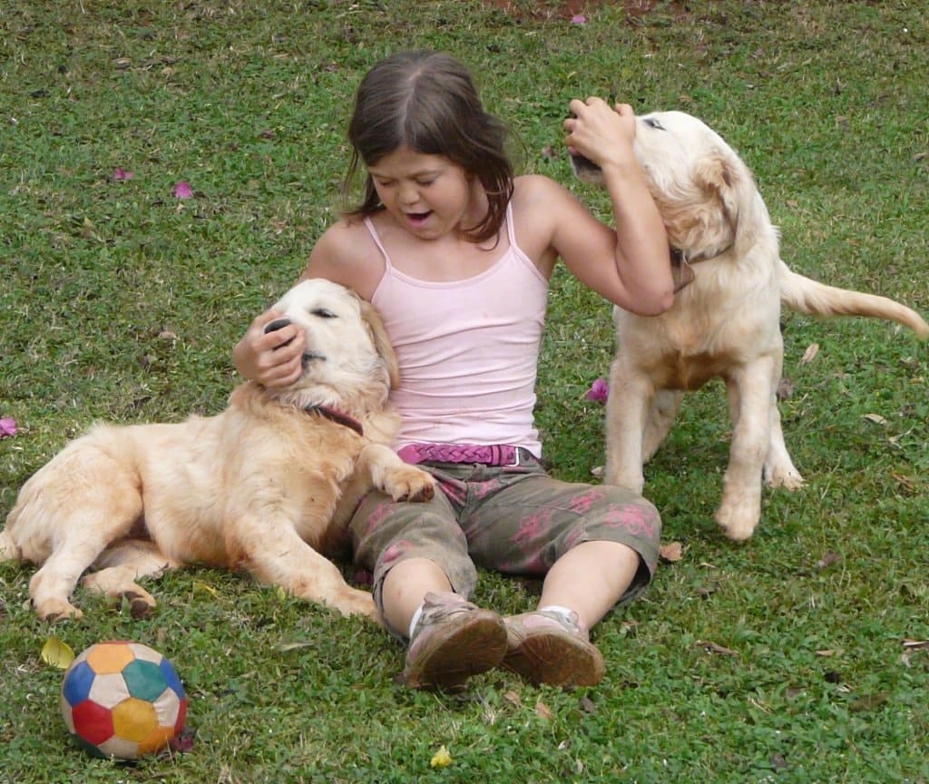 image-27