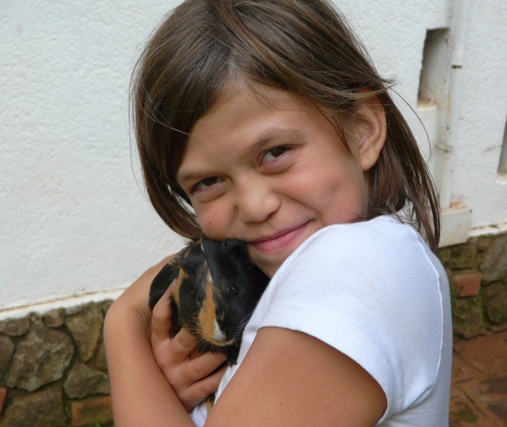 image-28